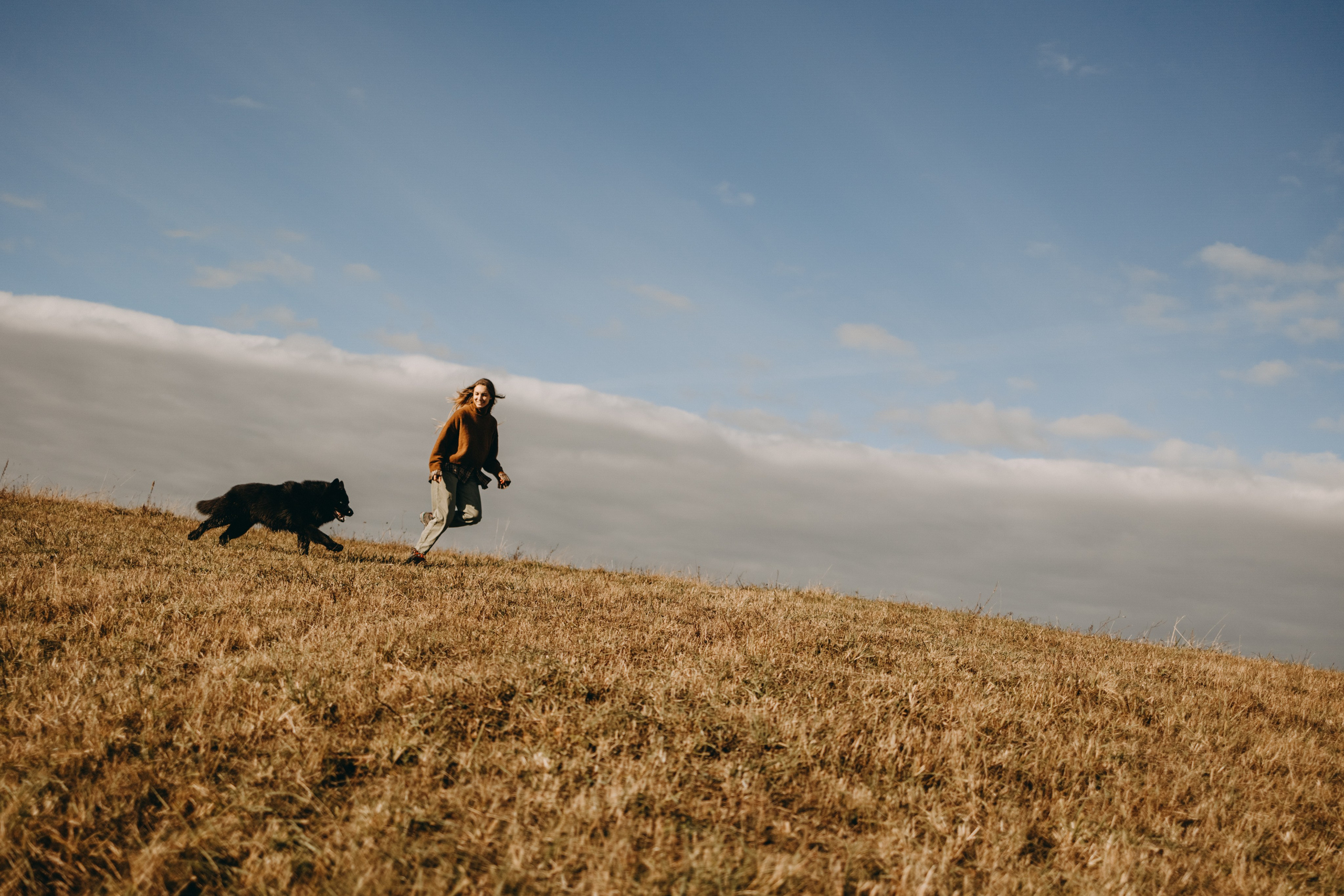 Лора и Джанго. Фотограф — Анималист | Санкт-Петербург