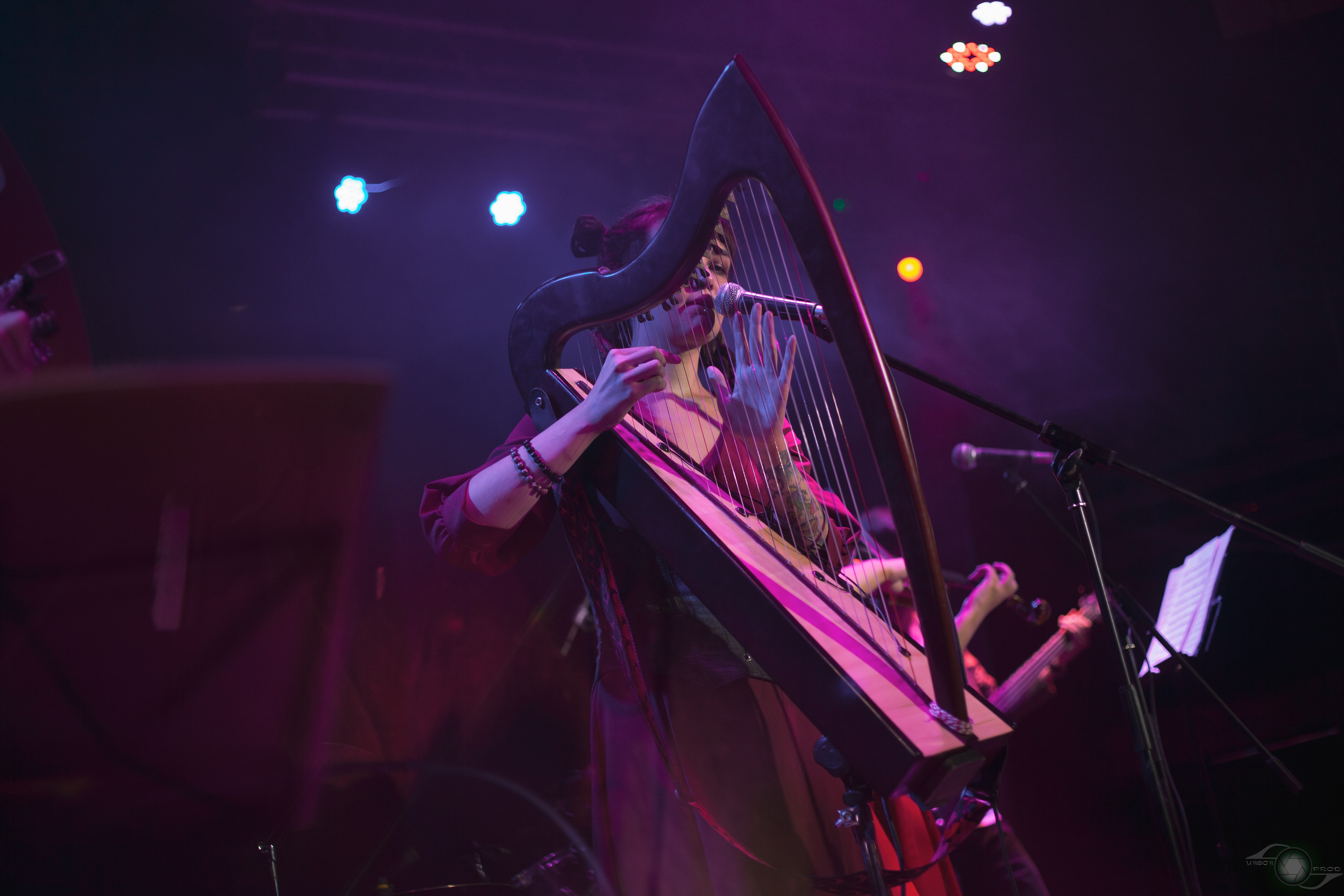 Фолк-вечер в «MEZZO FORTE». Фотограф Ellairen