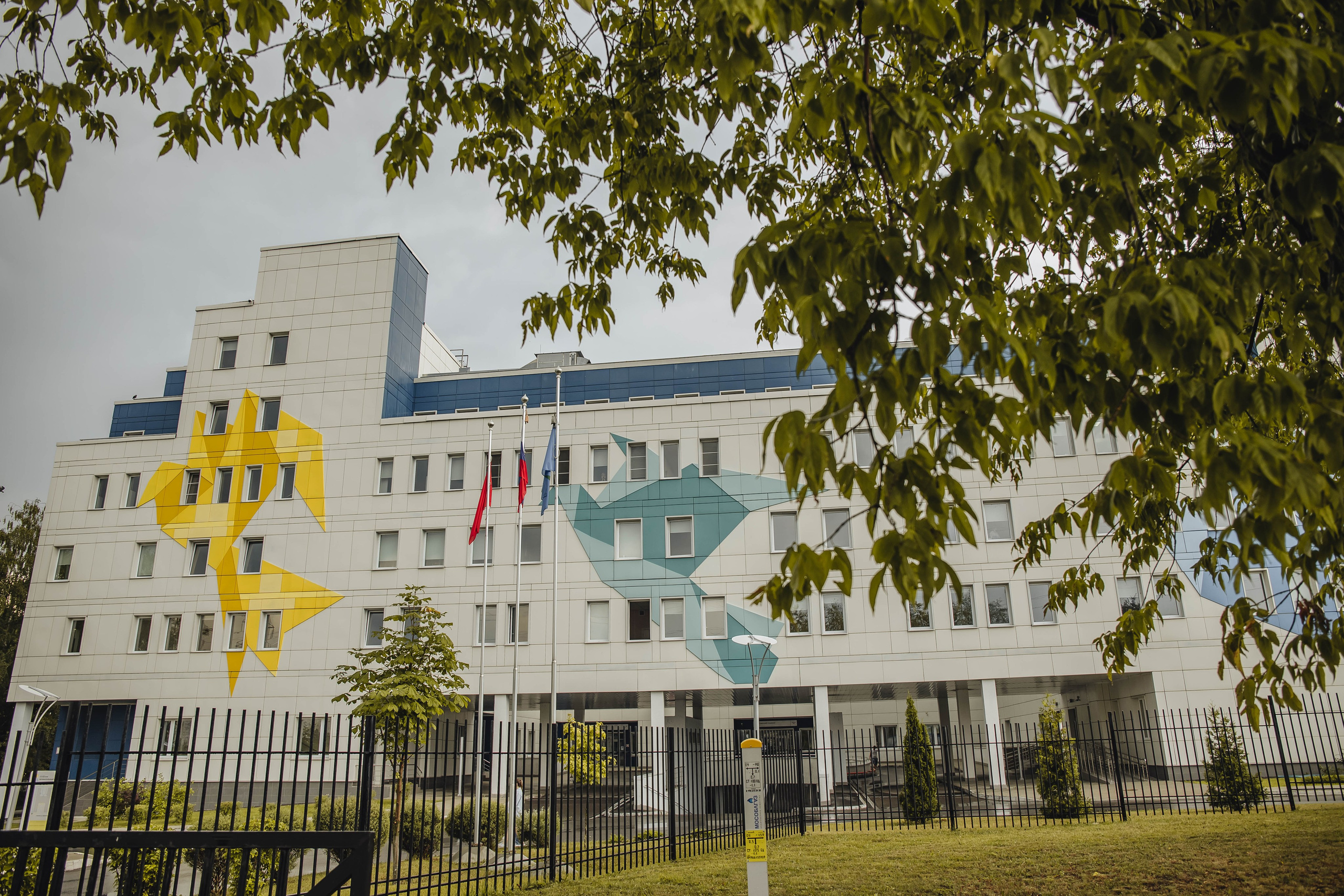 Выписка Сони. Свадебный и семейный фотограф Пушкин Царское Село СПБ Питер Санкт-Петербург и Рязань Ольга Козлова