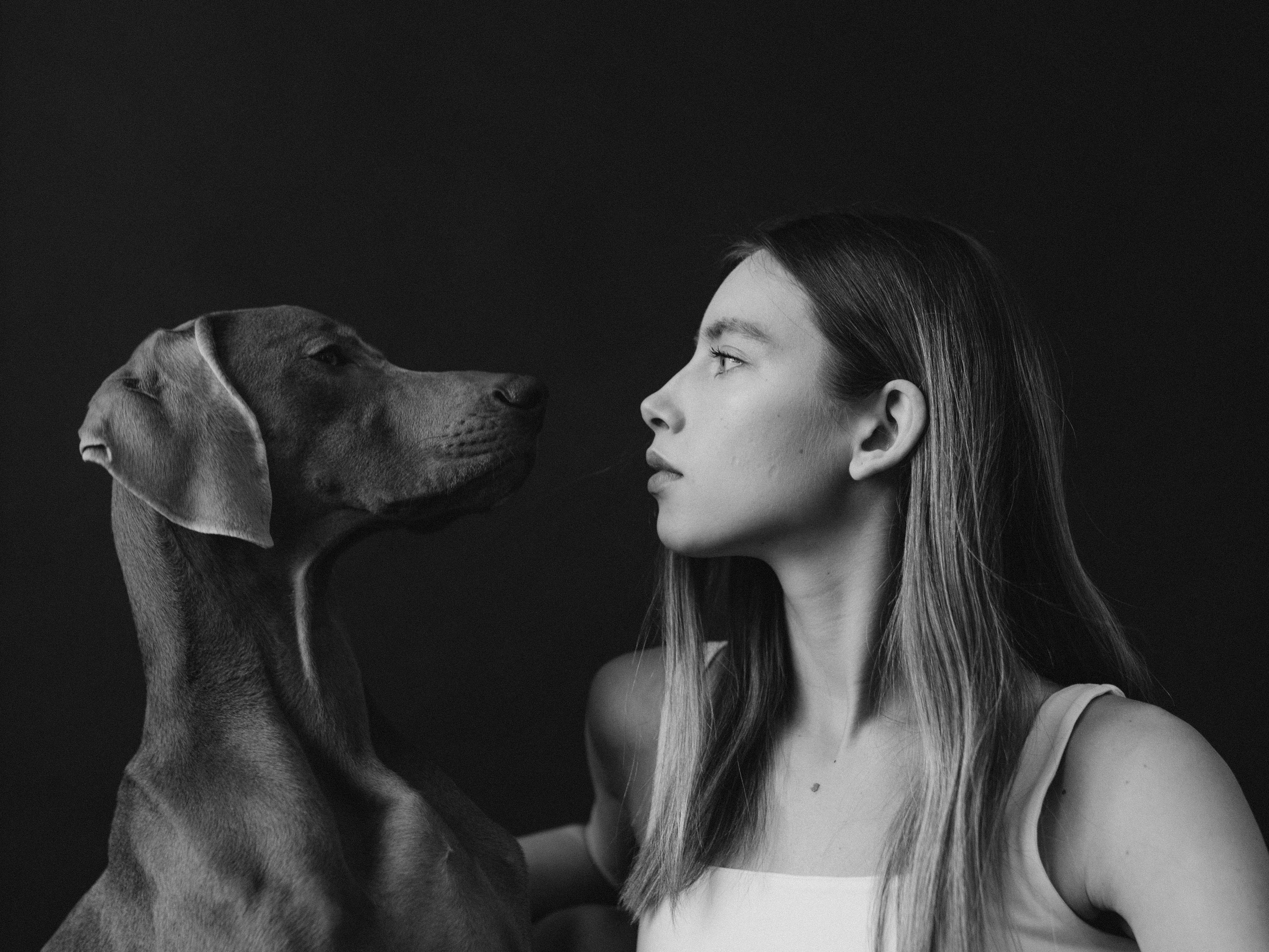 Сенча и Даша. Фотограф-анималист в Москве Кириллова Татьяна