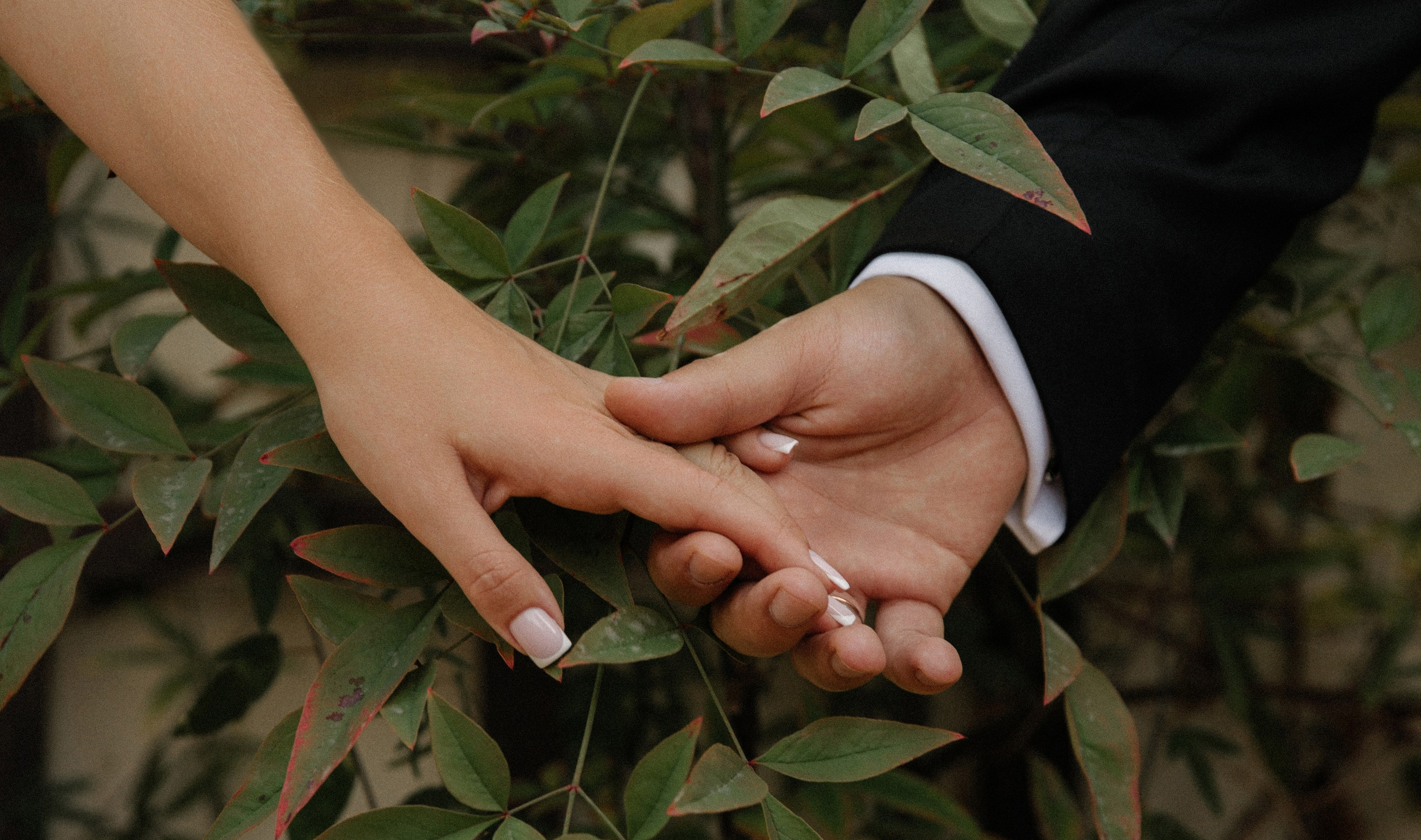 Анастасия | Василий. Фотограф в Краснодаре и Краснодарском крае