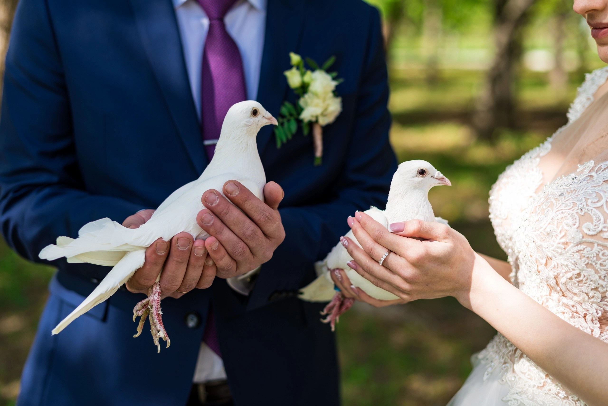 Свадебное. Фотограф Александр Каничев