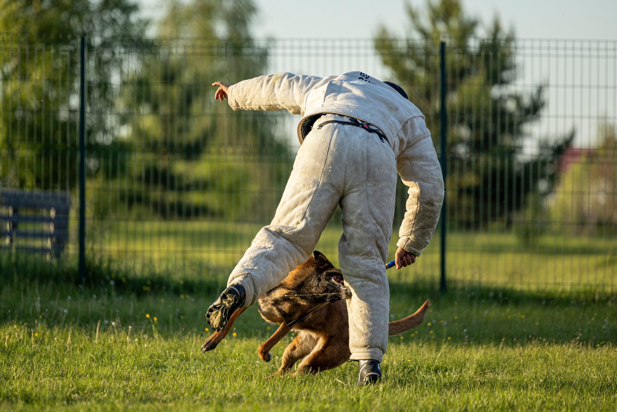 Испытания по мондьорингу в Нижнем Новгороде. Фотограф-анималист Анна Маринич