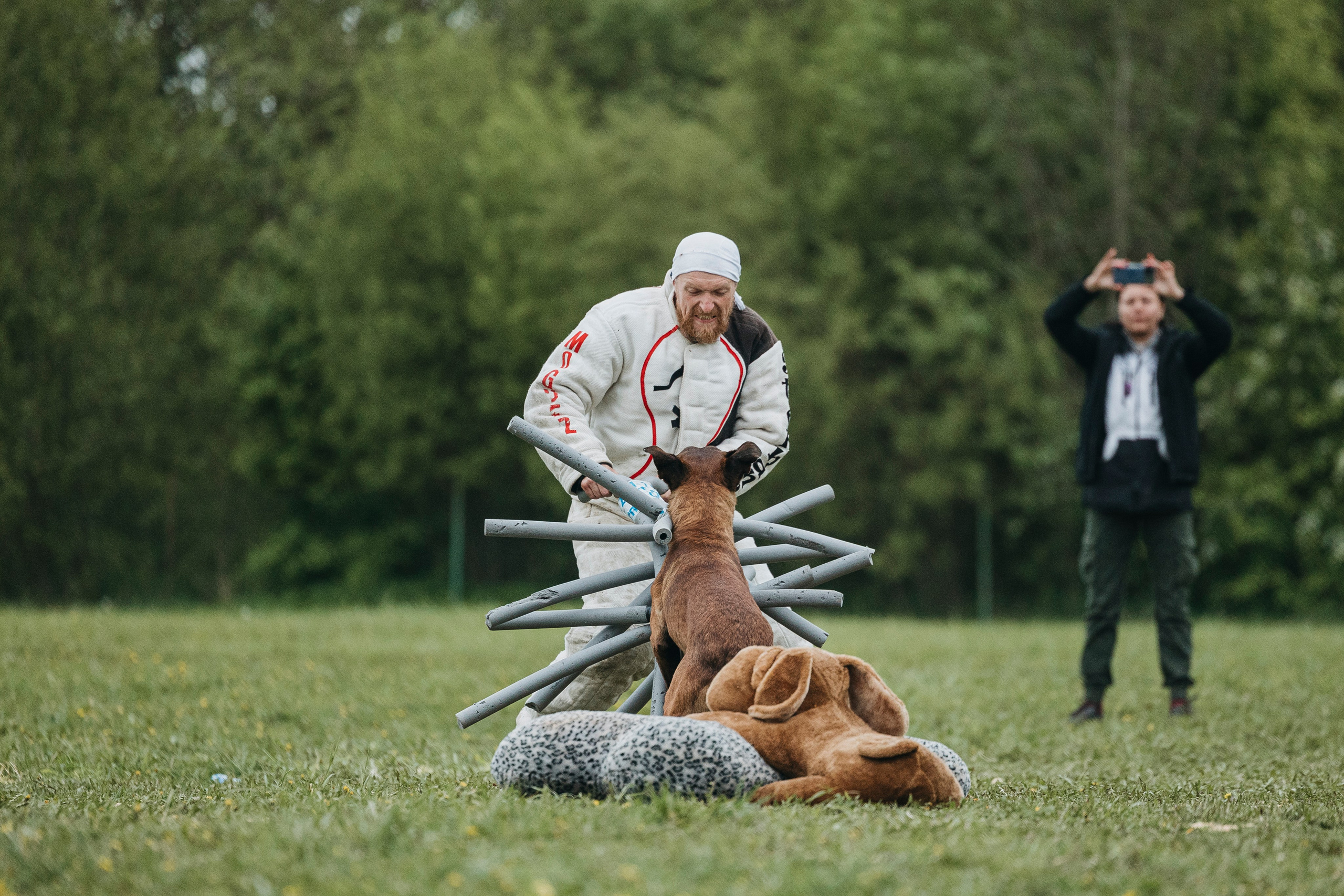26.05.25 г. Пушкин квалификационные соревнования. Фотограф-анималист Анна Маринич
