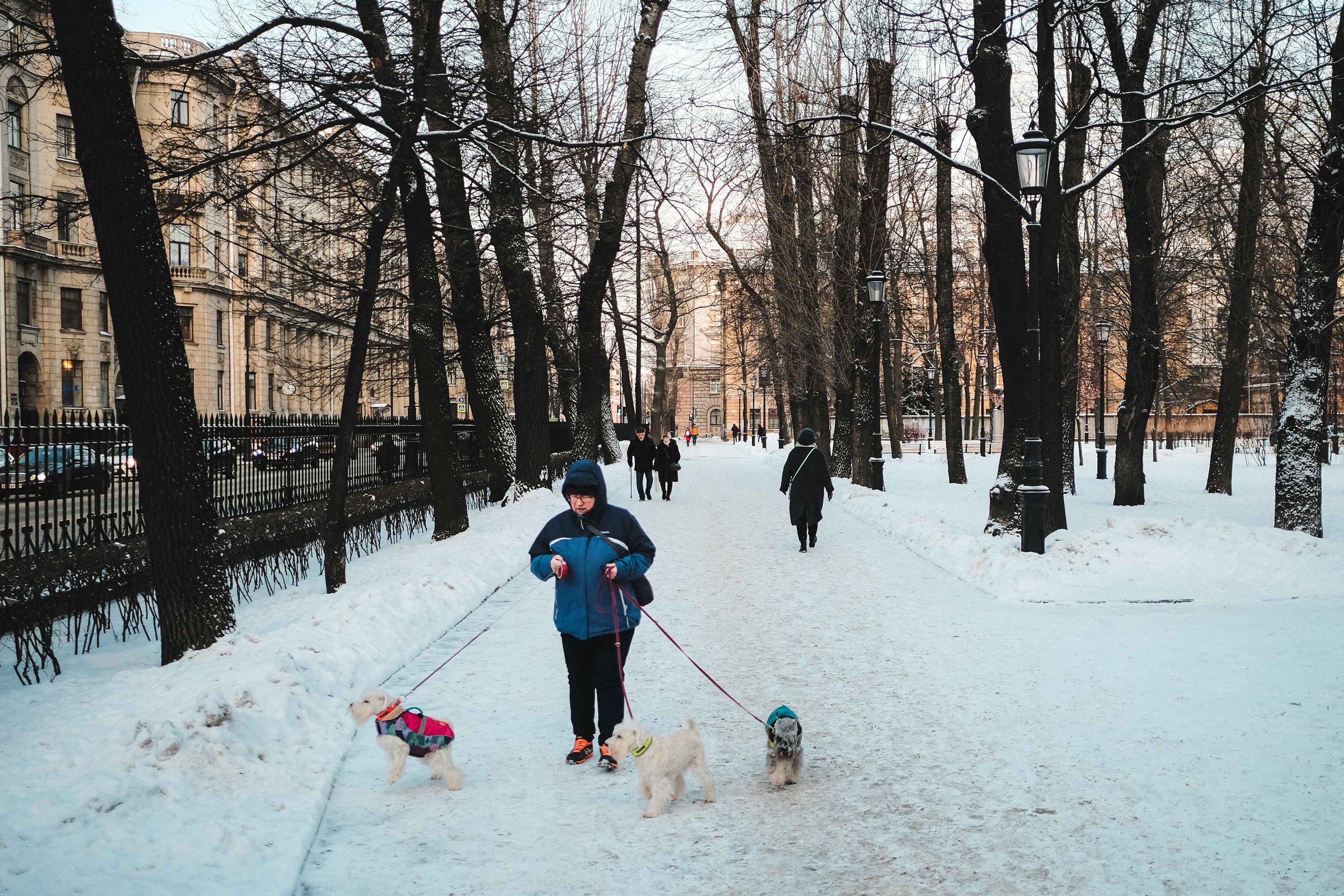 2021.12. Фотограф Алексей Алексеев