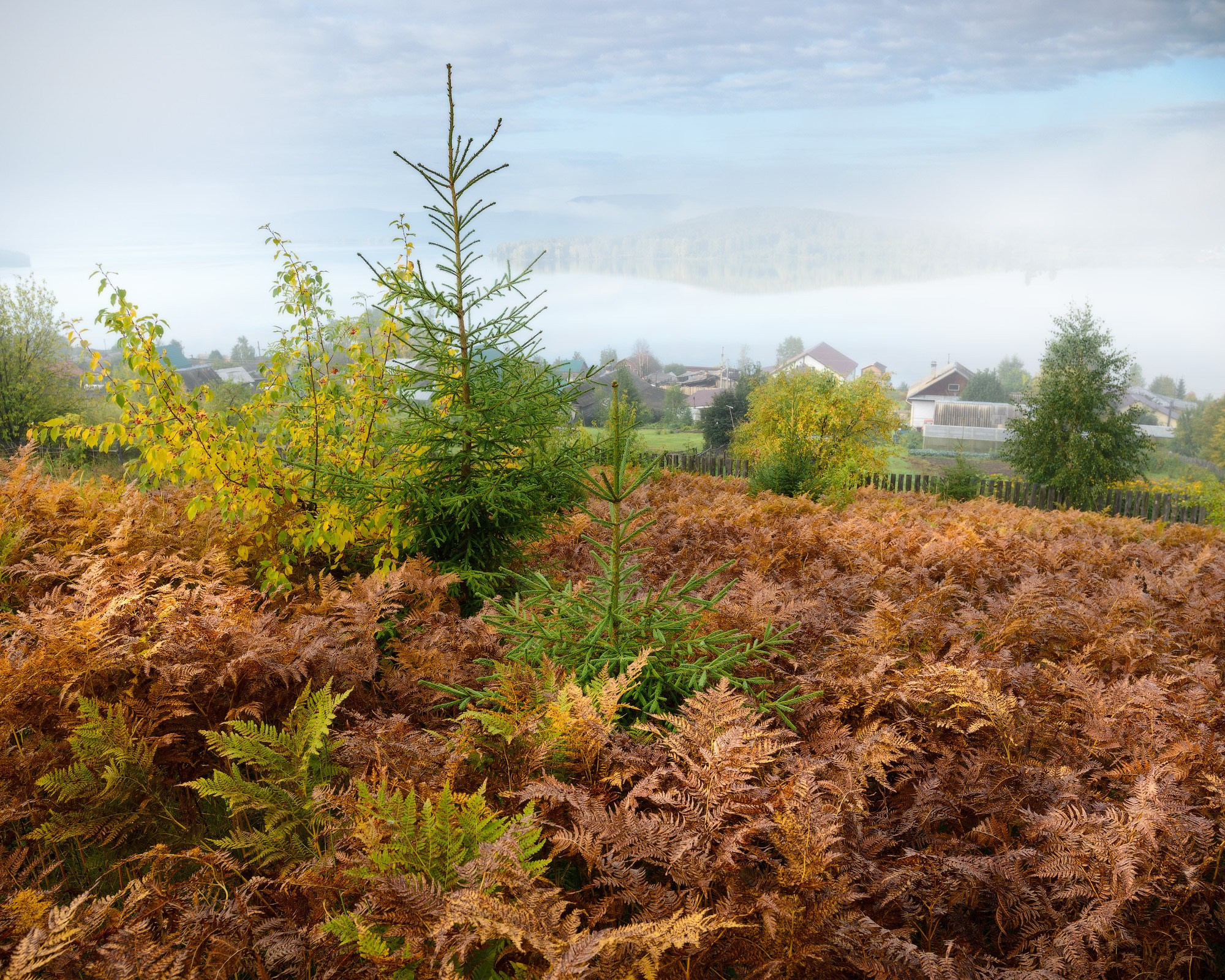 С горы Заводская
