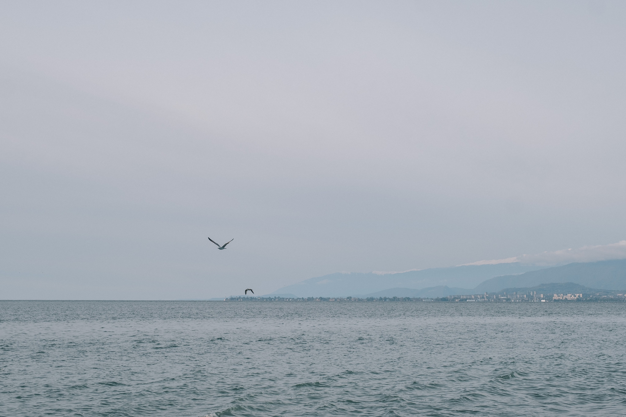 Абхазия|Катя&Никита. Фотограф на Бали|Свадьба на Бали