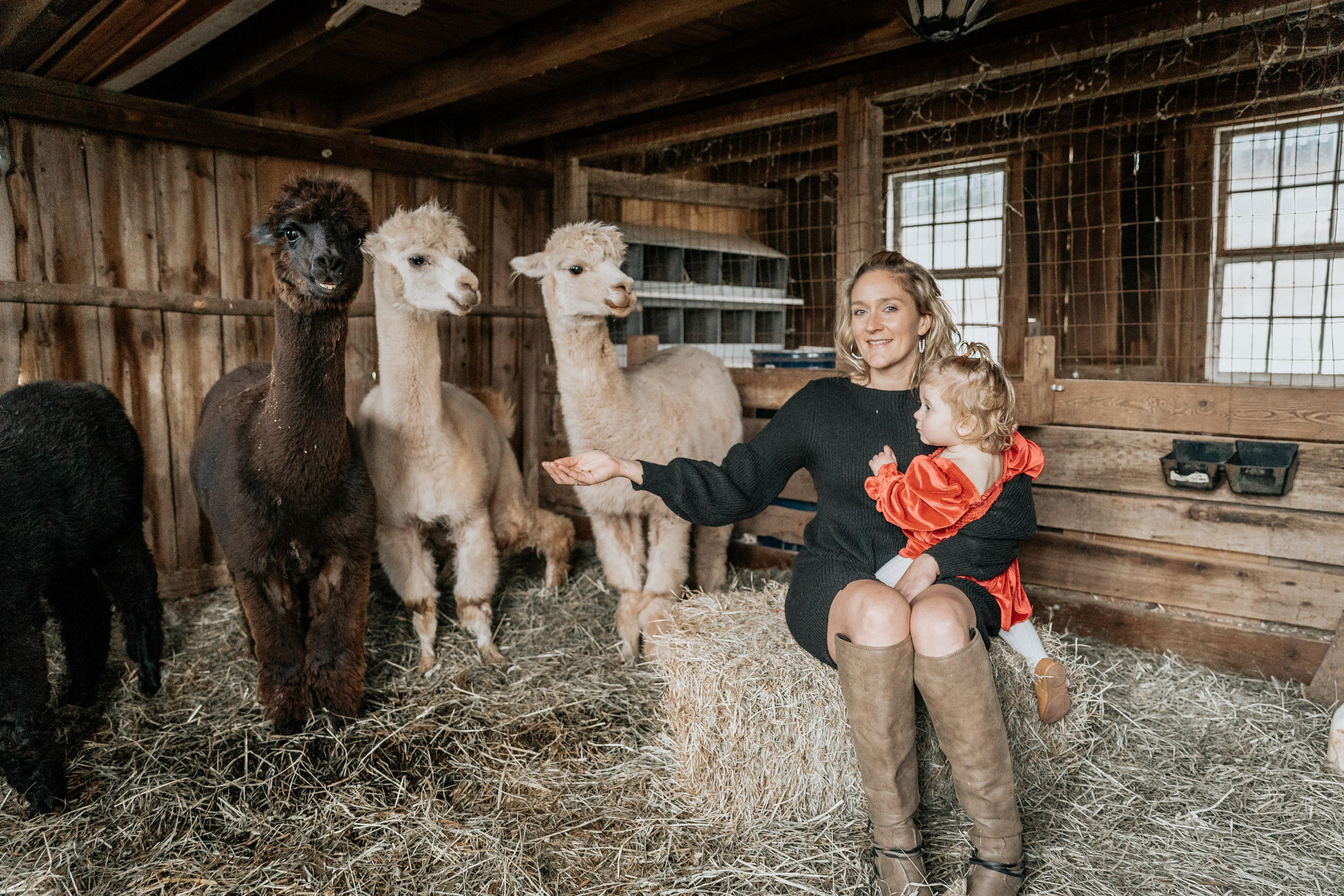 Family. Family photographer in Eastern Pennsylvania, Inna Nairn