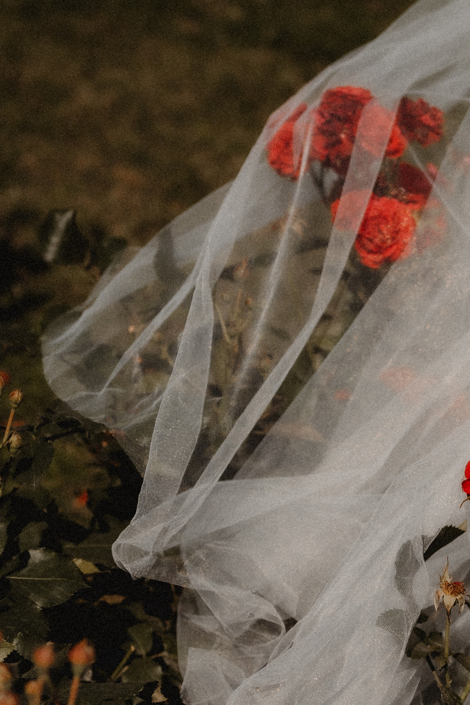 Миша и Ника. Репортажный фотограф Черников Игорь