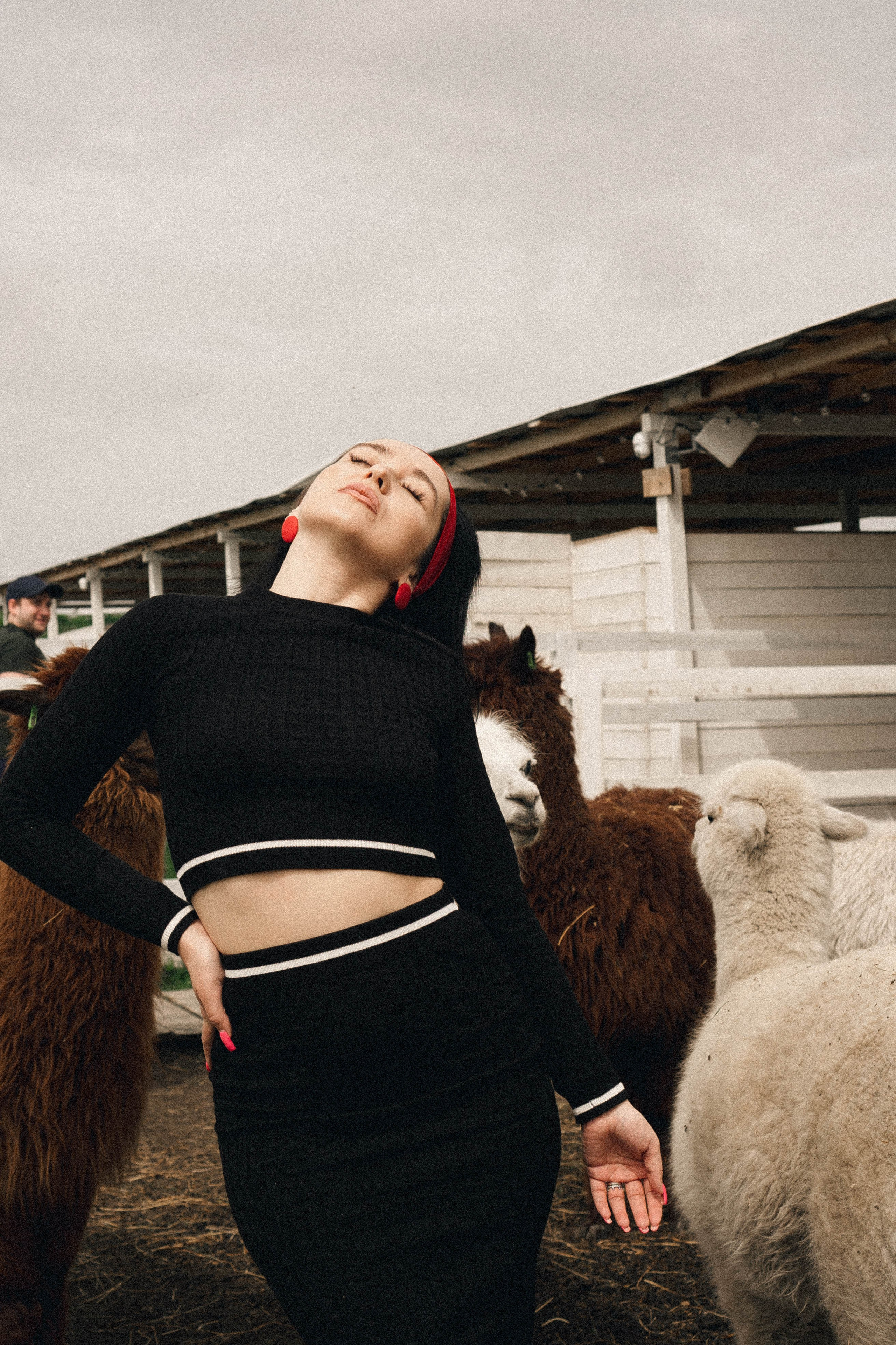 Ферма Альпак. Профессиональный фотограф, Санкт-Петербург — Виктория Богомолова
