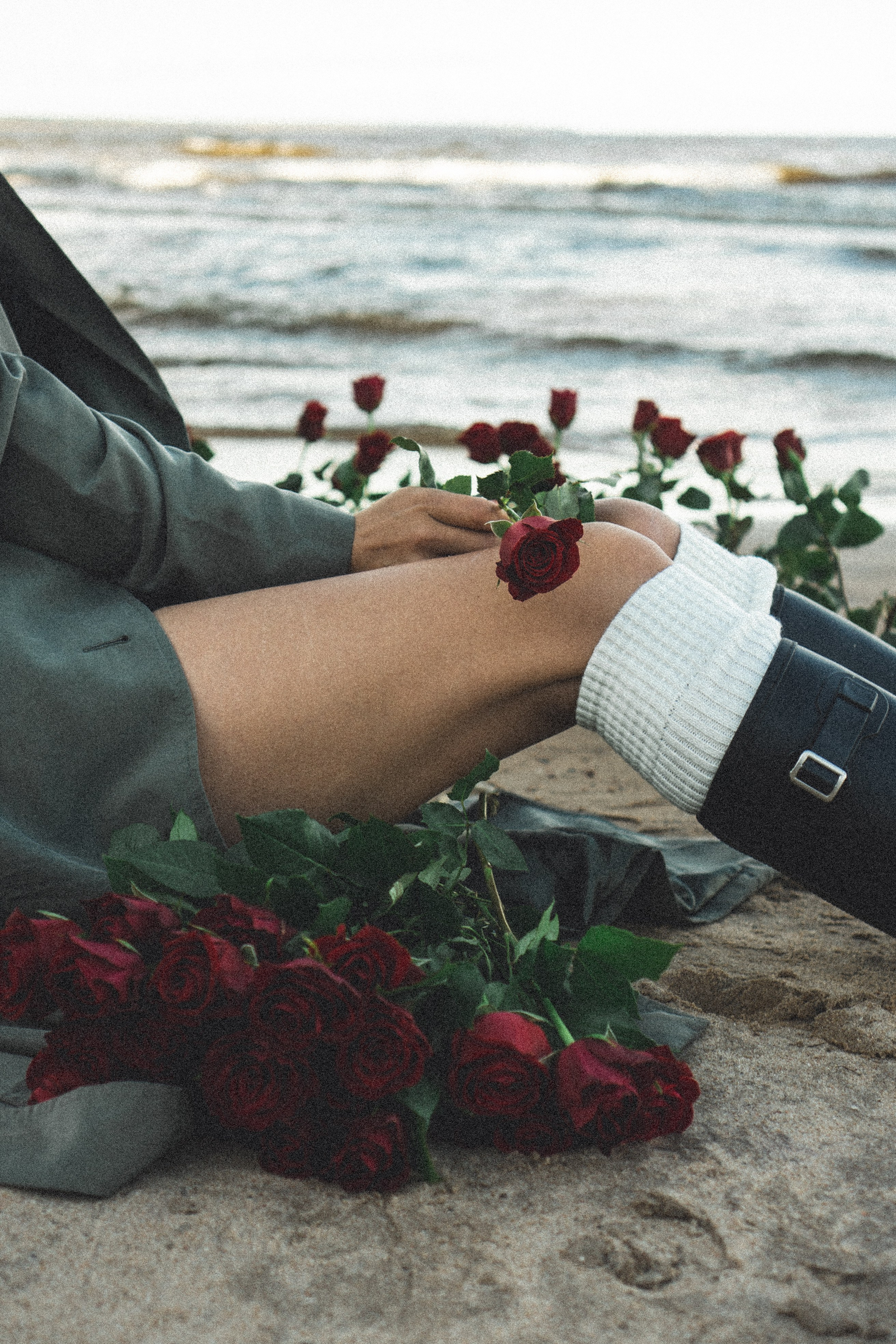 Розы. Профессиональный фотограф, Санкт-Петербург — Виктория Богомолова