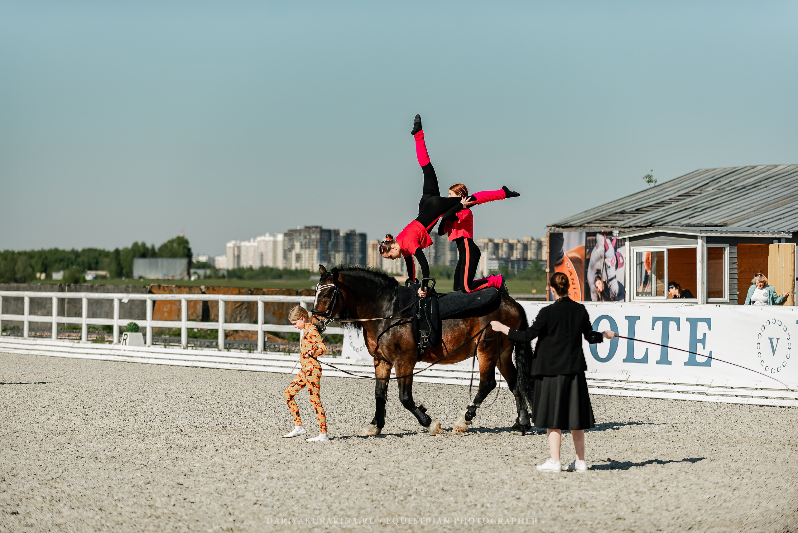 РЕПОРТАЖ МКК ВОЛЬТ «LA TULIPS». Конный фотограф Куракина Дарья • Фотосессии с лошадьми