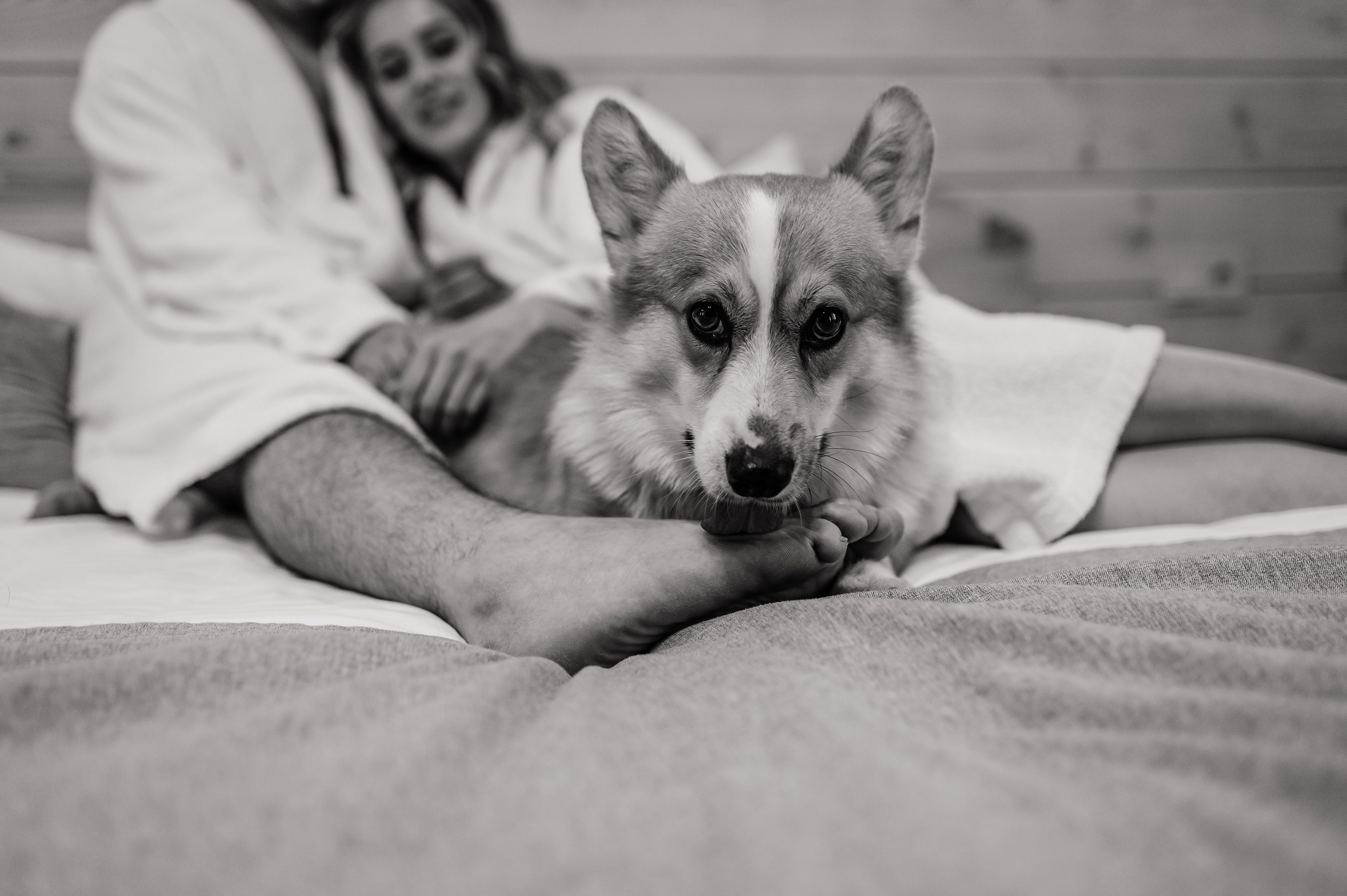 Вадим и Анастасия. Свадебная  съемка на Алтае