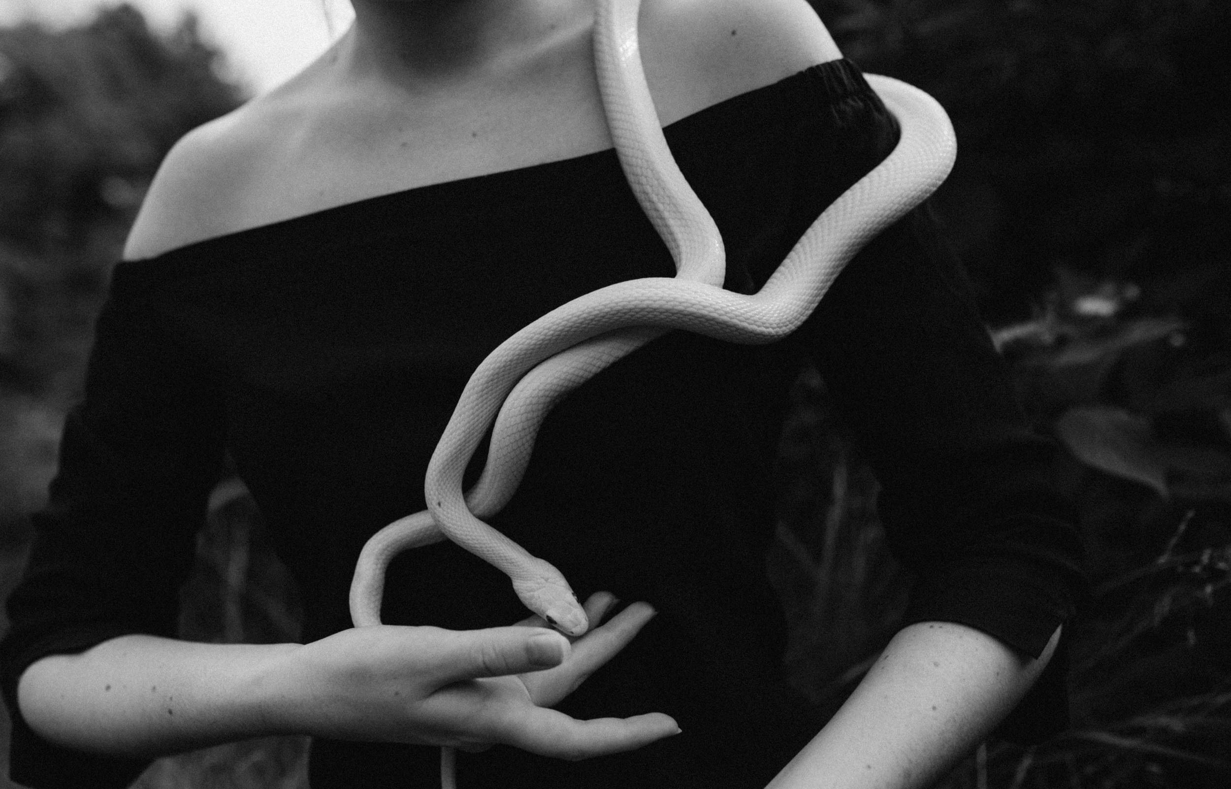 Маленькая белая змея на лице девушки