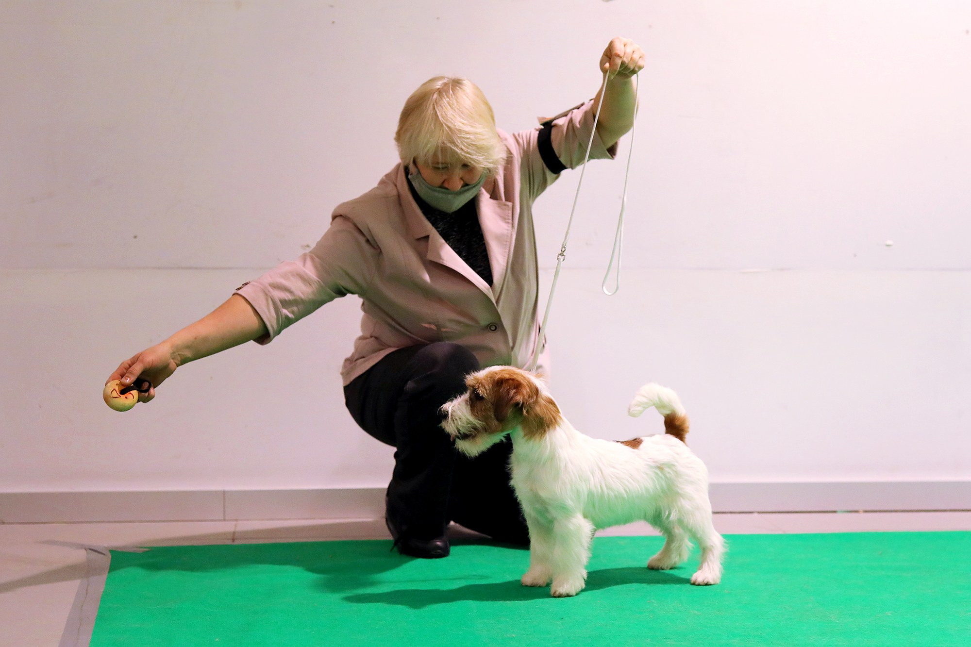 Port Fortis Zoom Zoom