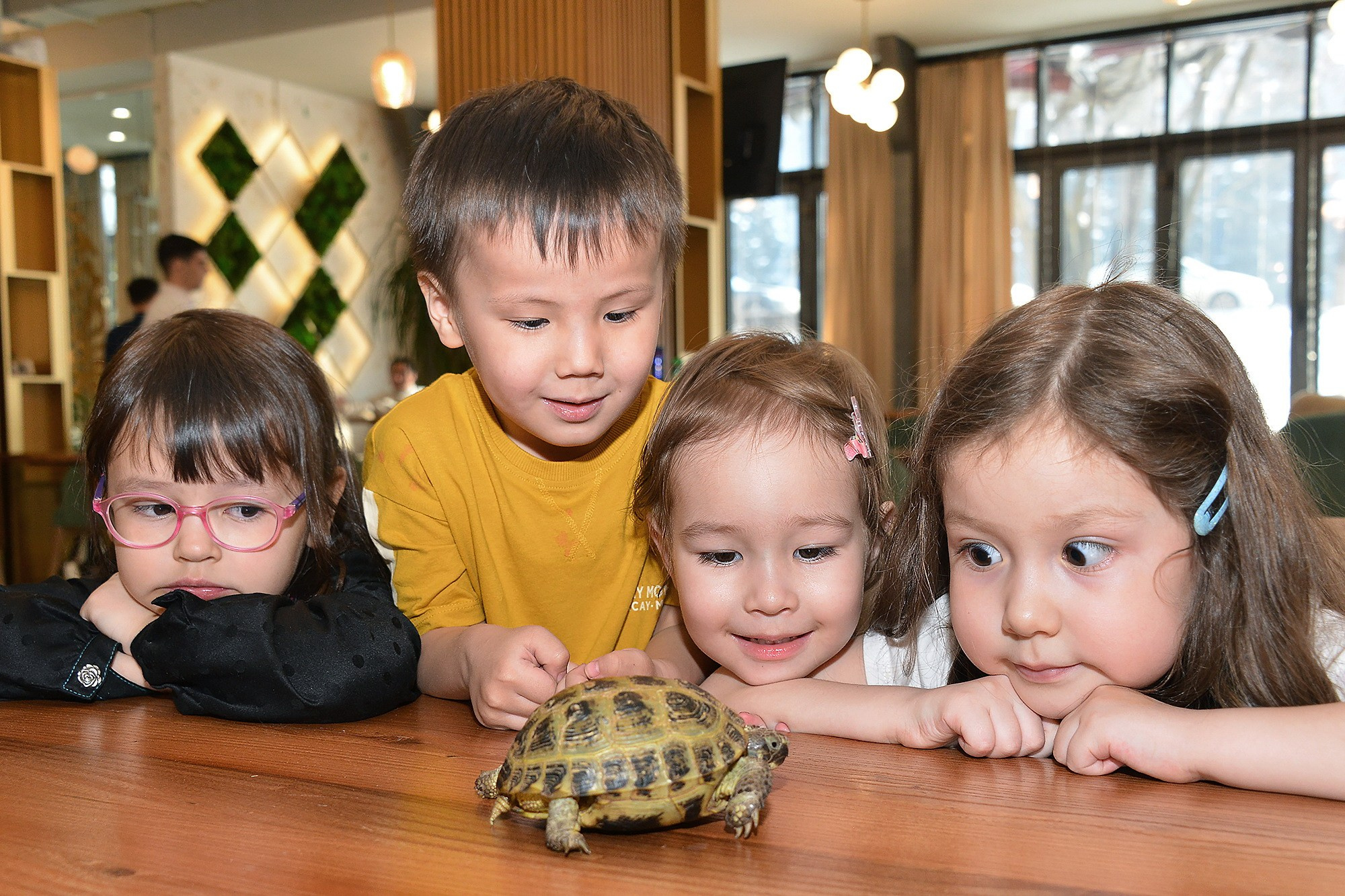 Дети-2 (Оливия-5 лет). Фотосъёмка. Фотограф Сергей Авдеев-семейный и детский фотограф в Алматы