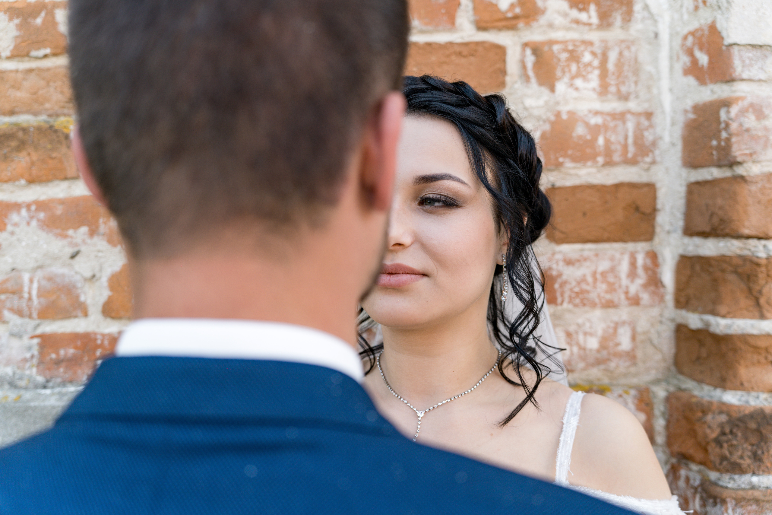 Любовь во всём…. Видеограф Алексей Жарков