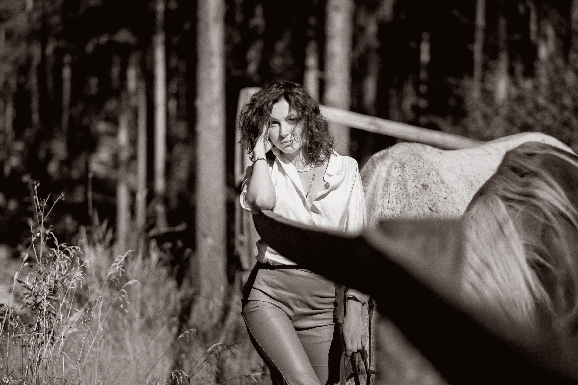 Фотосессия с лошадьми в катри-стиле. Фотограф женский и мужской портрет Санкт-Петербург