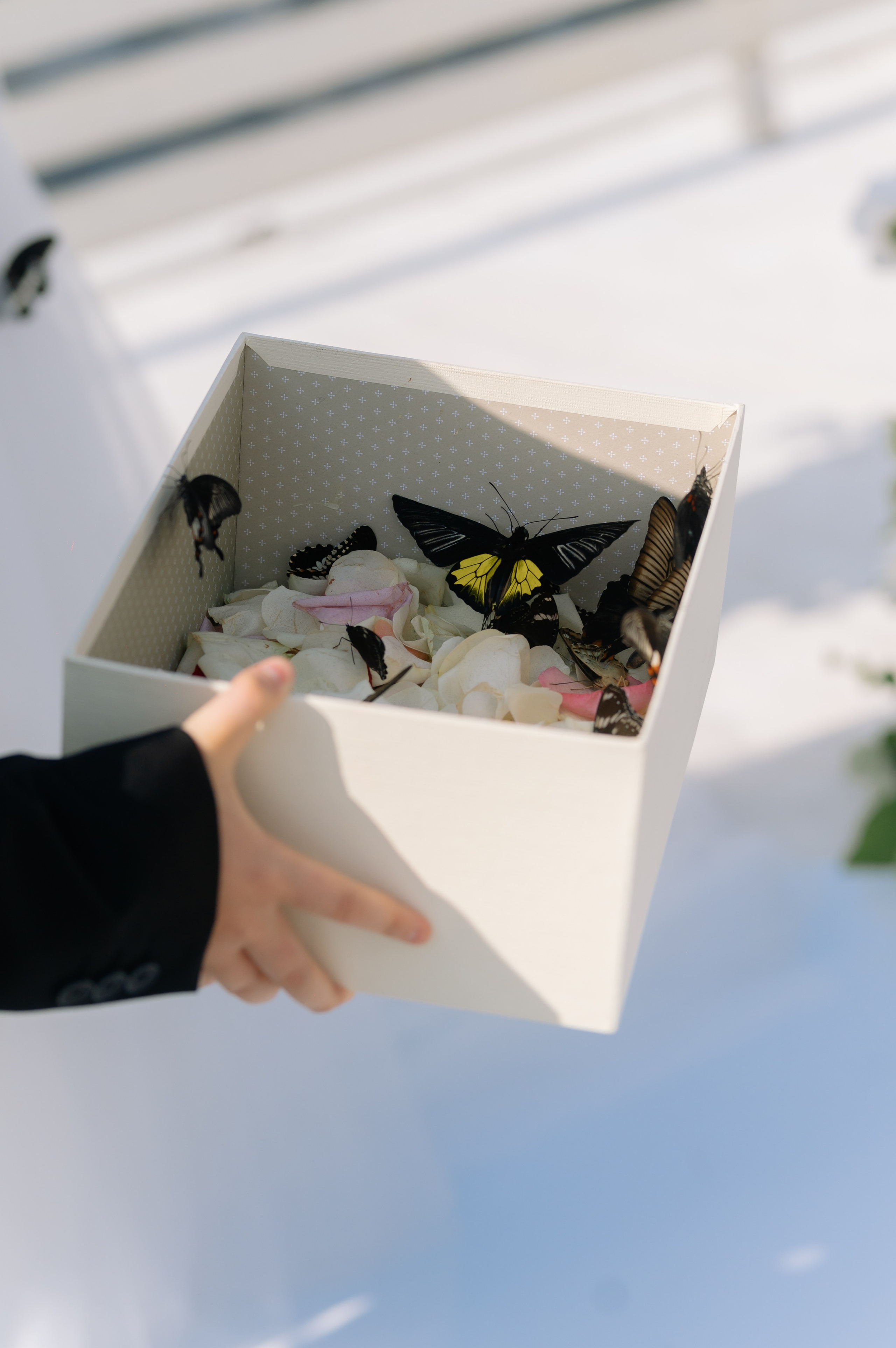 Анжелика и Андрей. Свадебный фотограф Минск, Пинск, Брест, Гродно Чернигов Андрей