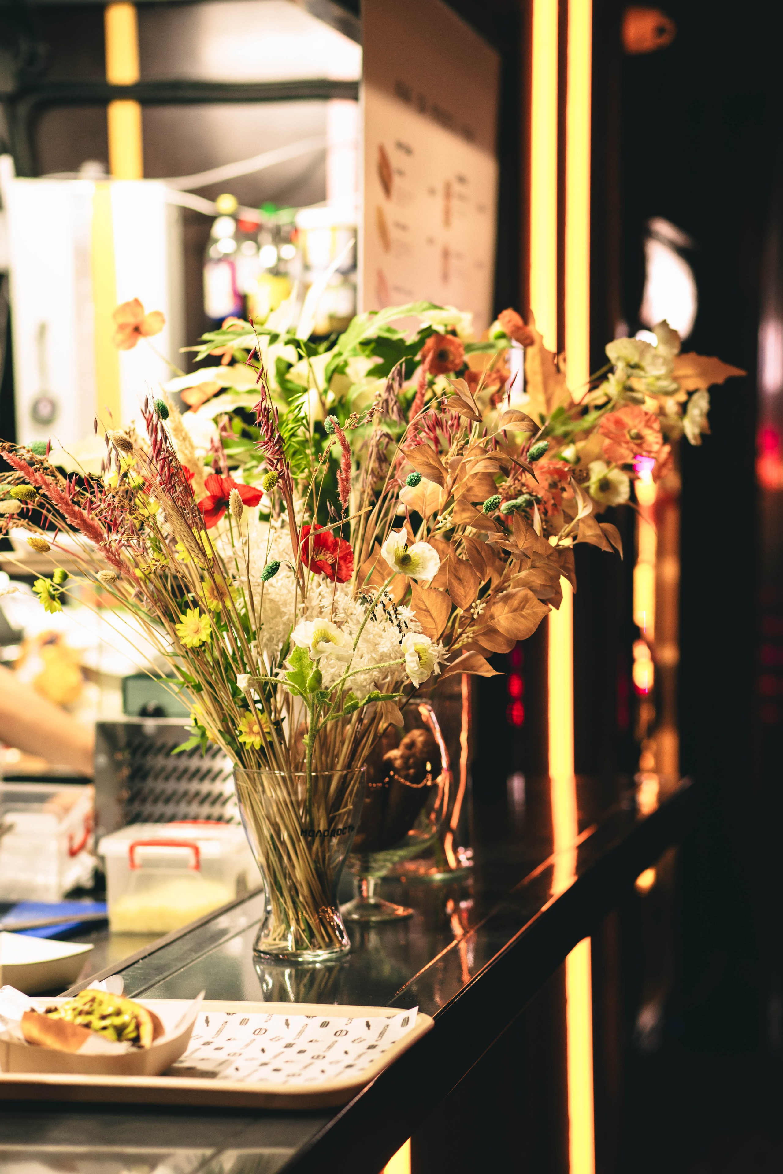 Pet-Party + Live-music |Парк Культуры. Фотограф в Ставрополе Алина Клочкова