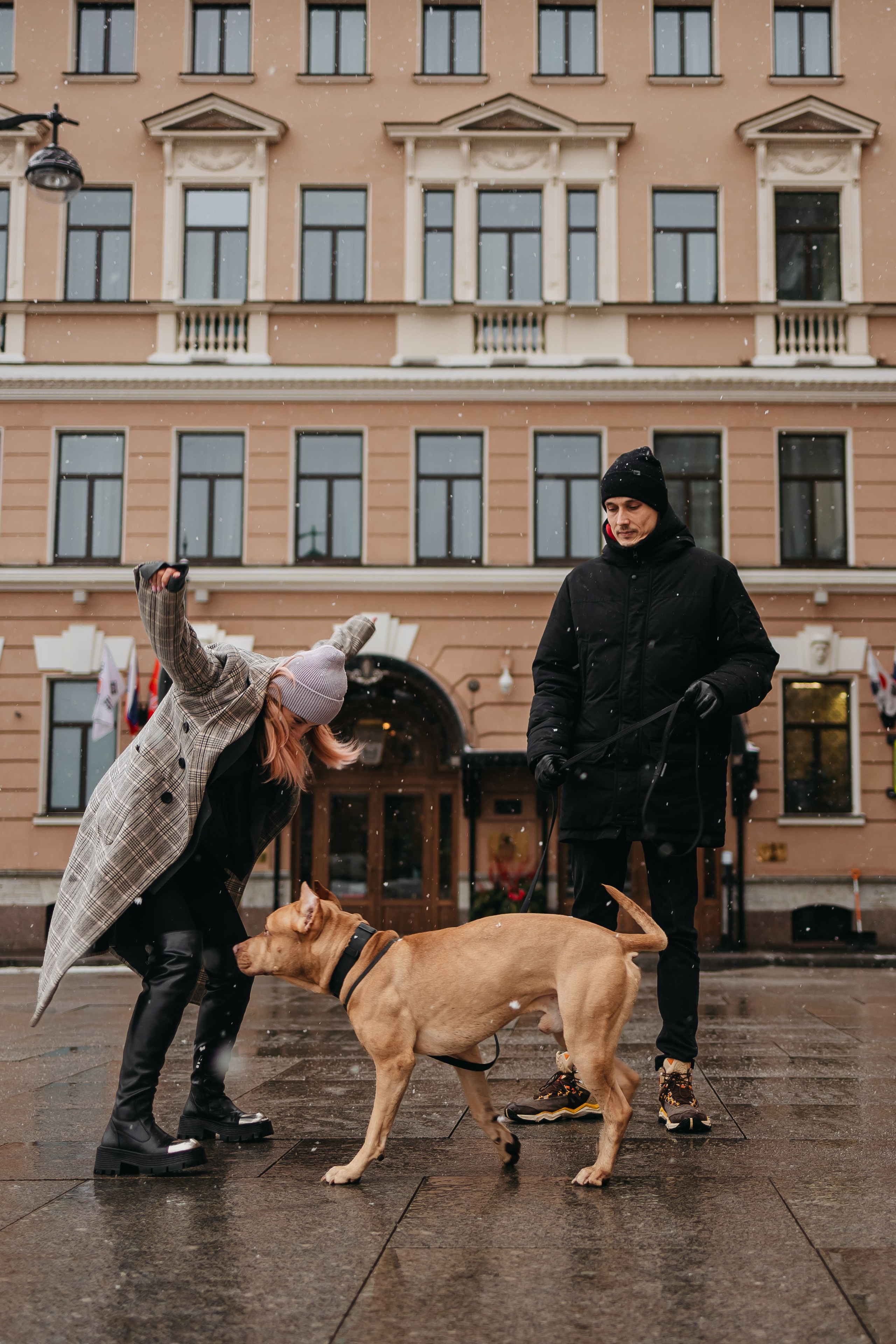 Саша, Света и Ицар. Фотограф-анималист в Санкт-Петербурге Алина Яхонт