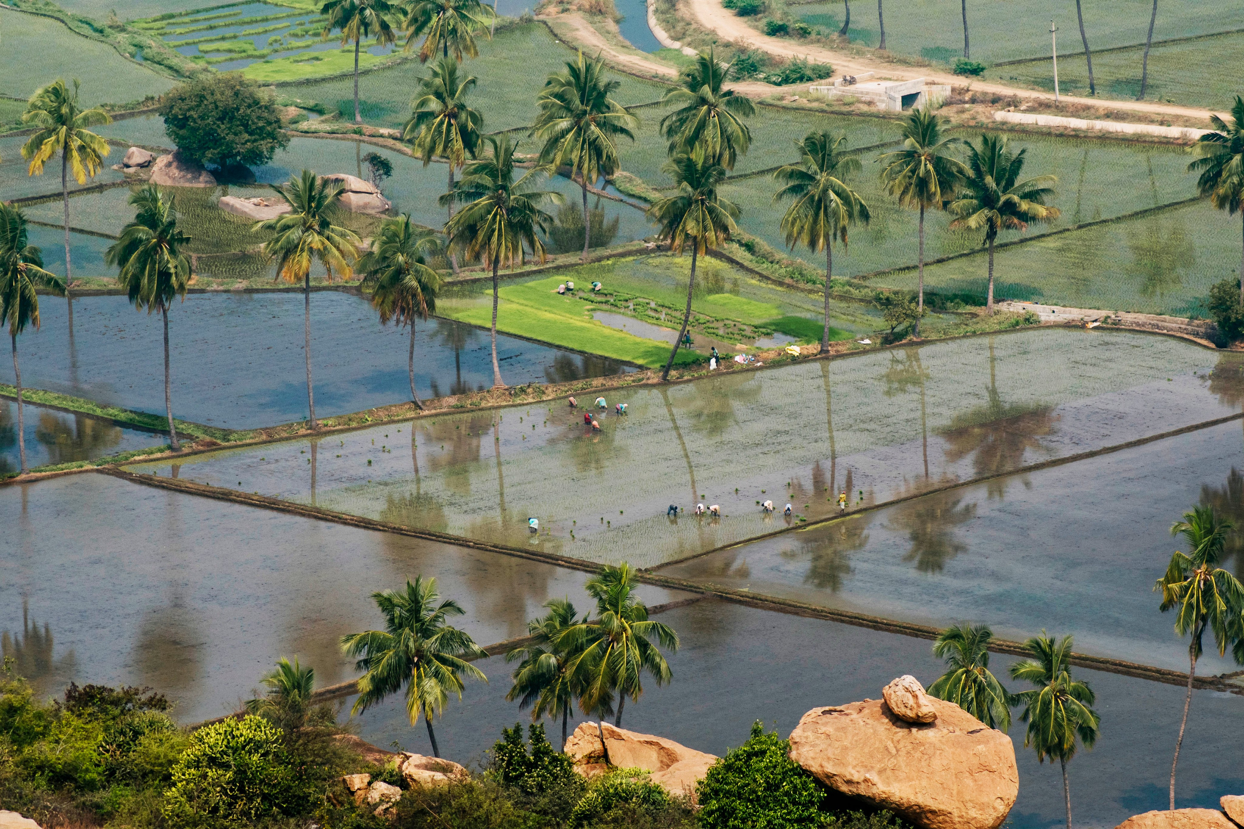 Hampi street. Iraogo