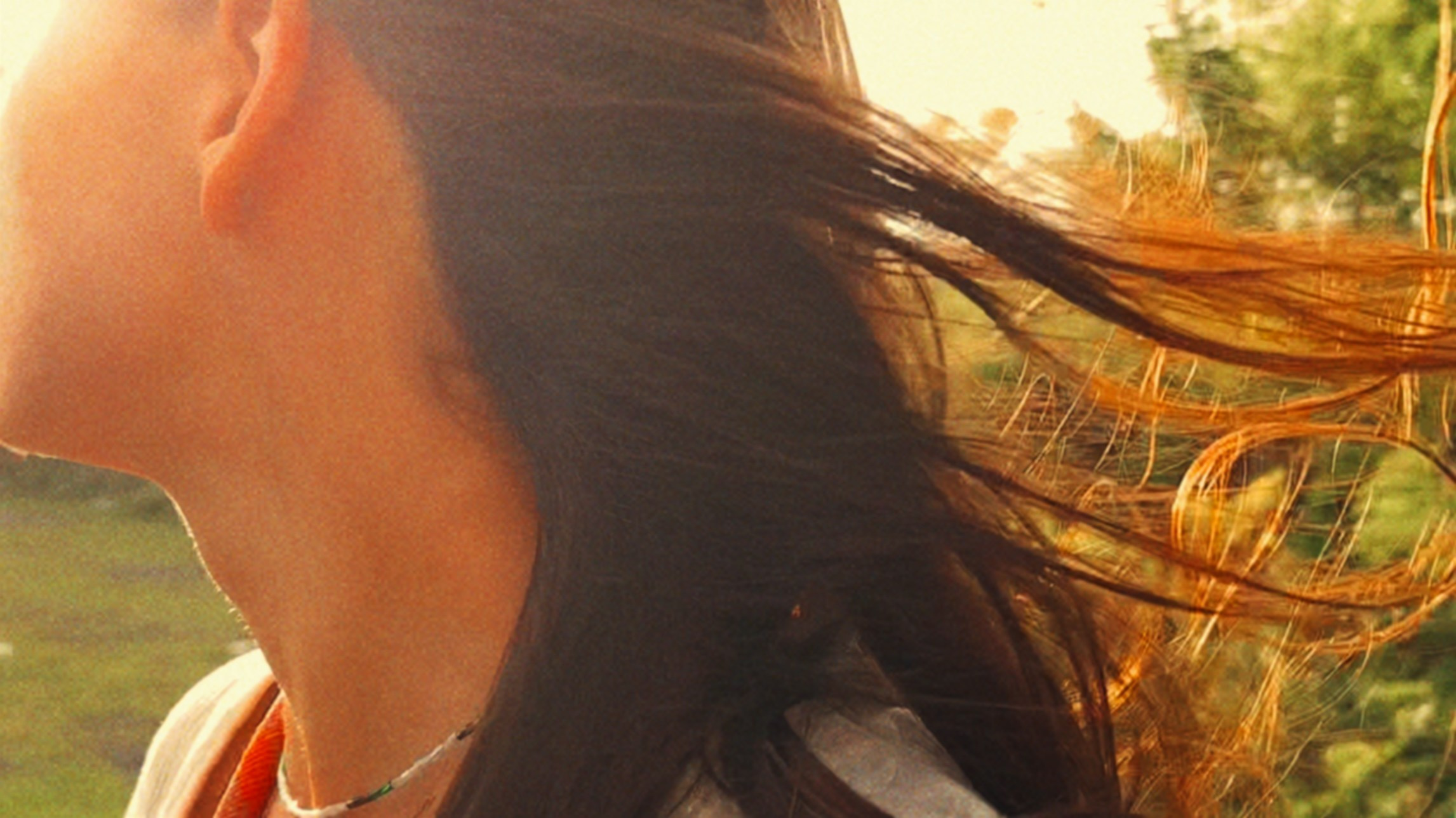 SUN. Виолетта Скрипка