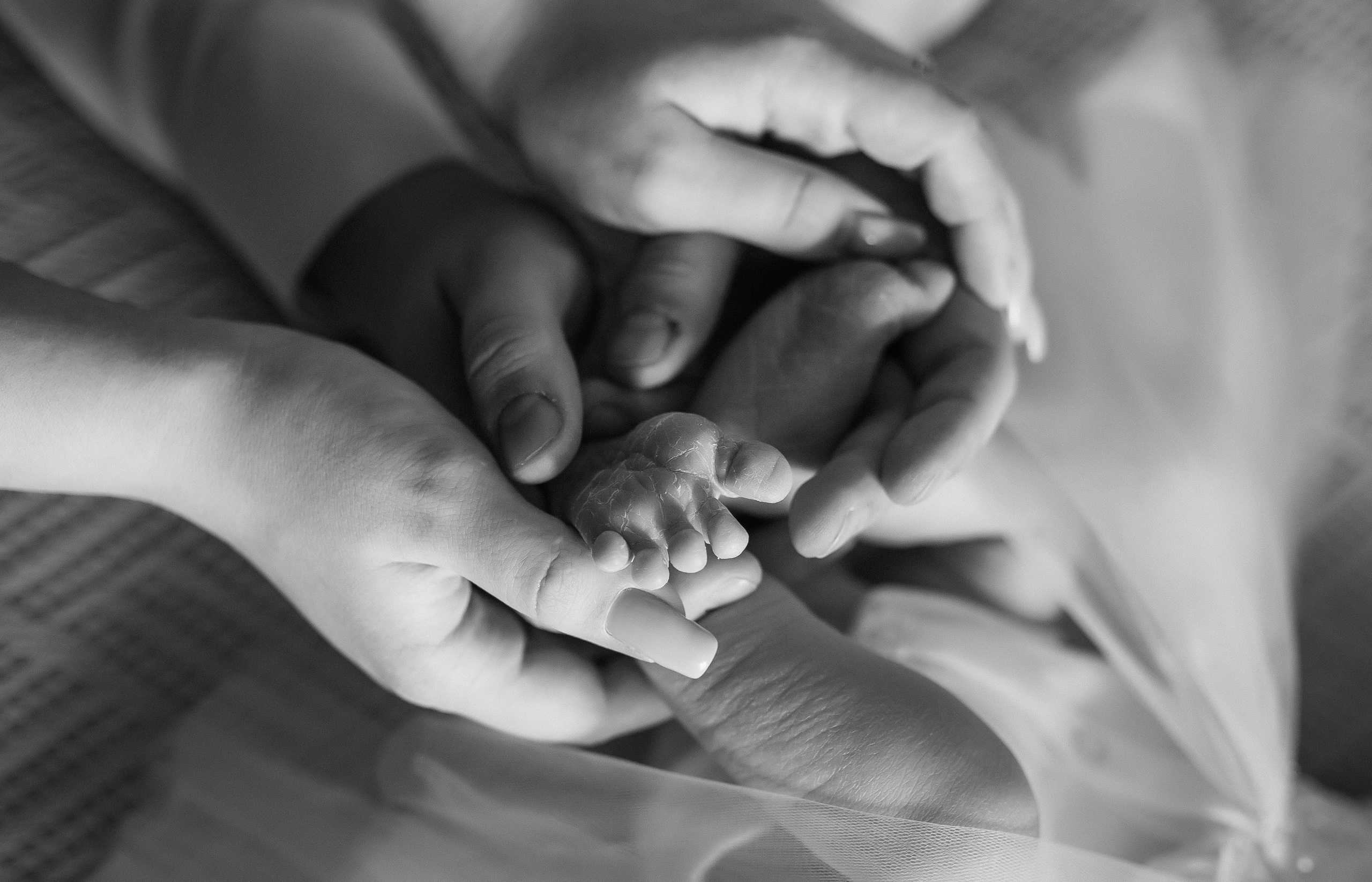 Виктория. Семейный фотограф в Сургуте