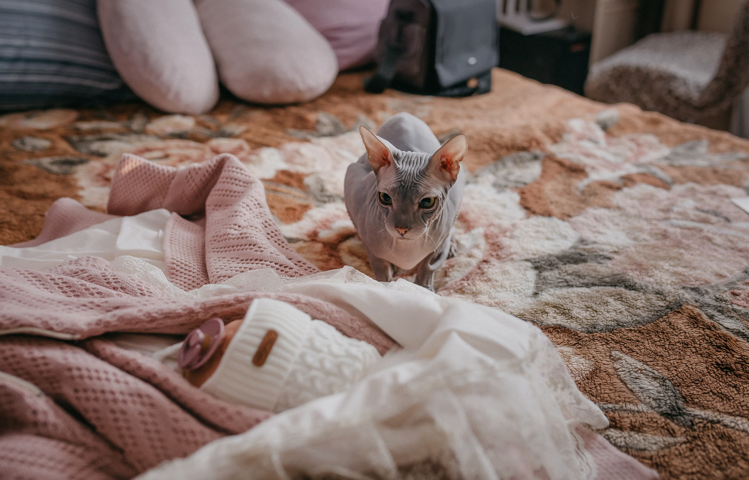 Виктория. Семейный фотограф в Сургуте