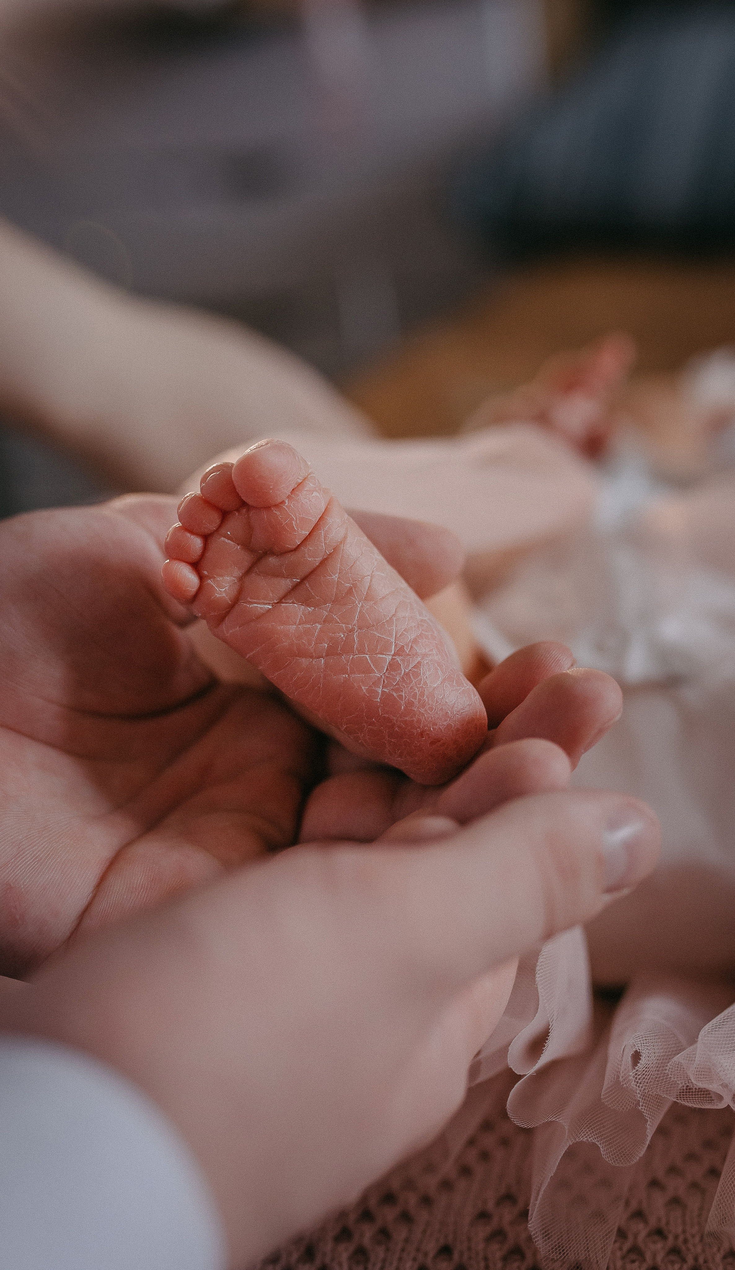 Виктория. Семейный фотограф в Сургуте