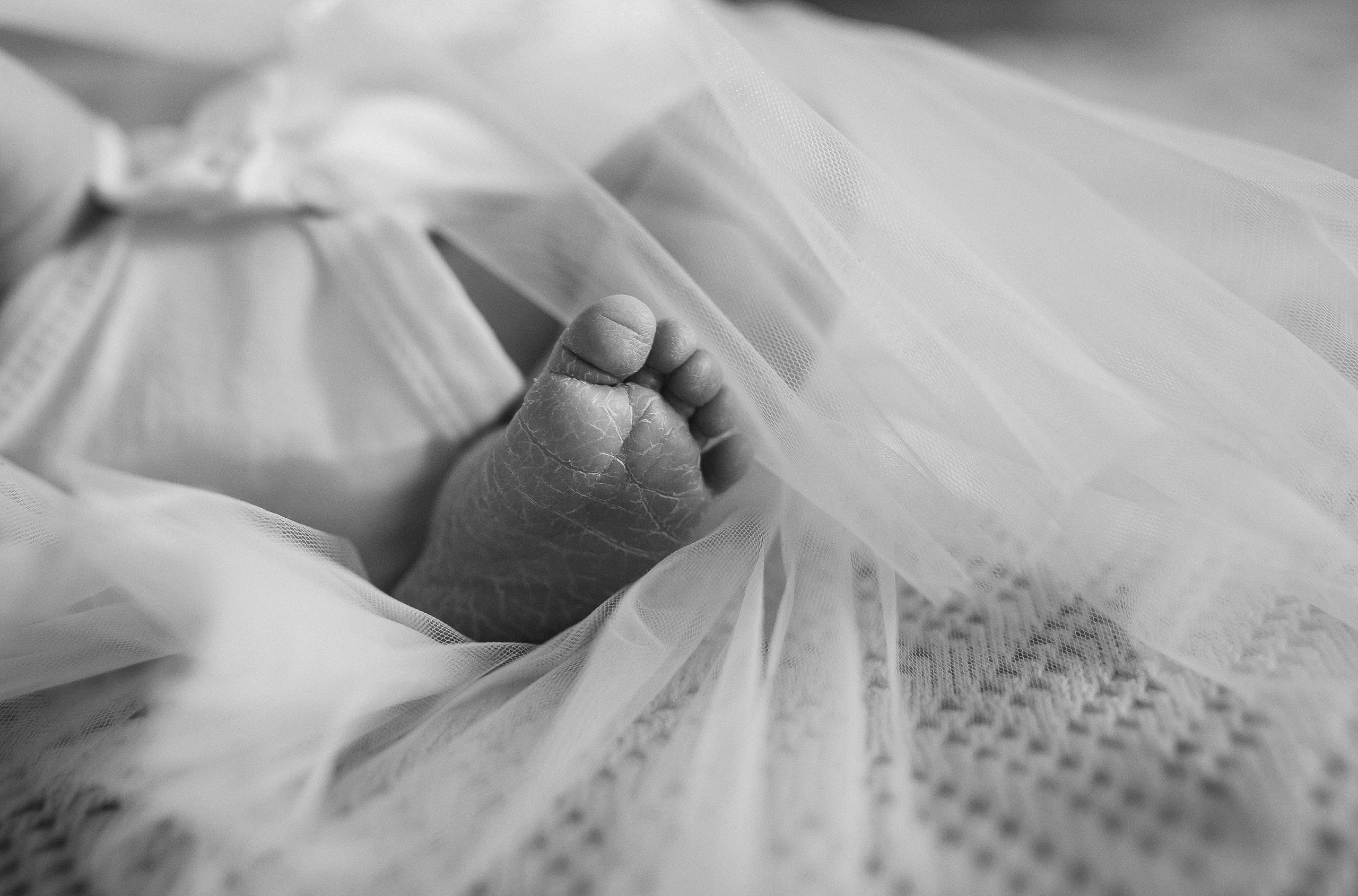 Виктория. Семейный фотограф в Сургуте