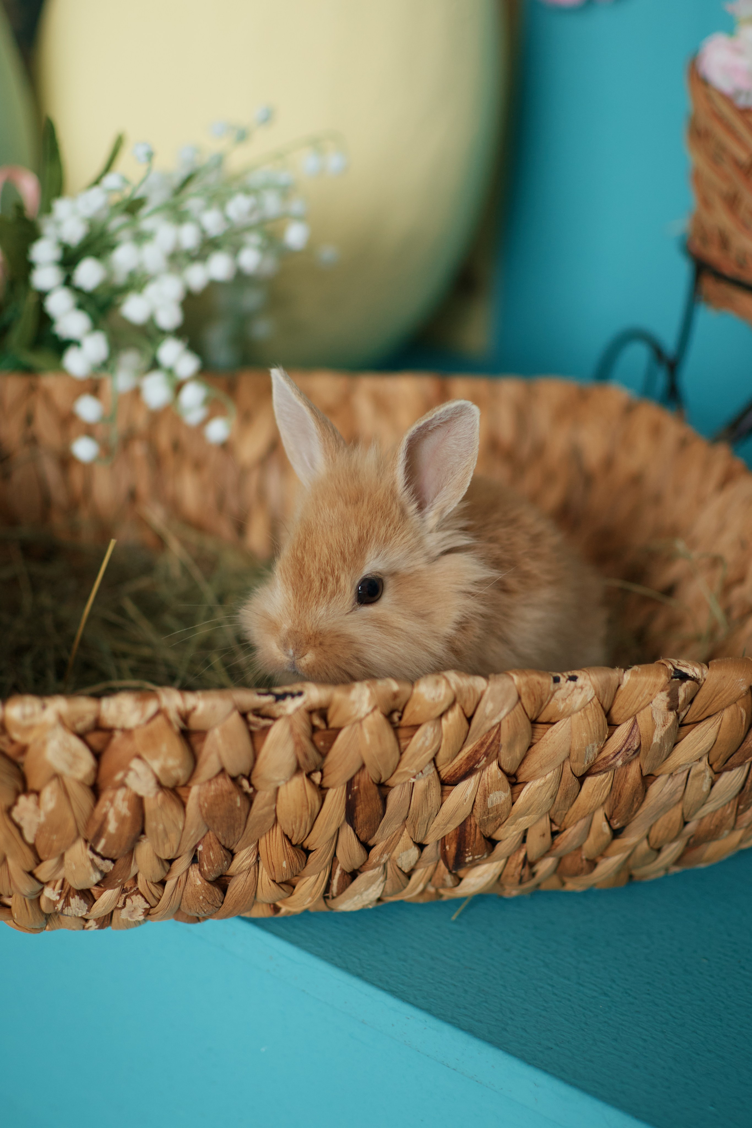 Проект «Пасхальная история». Портретный фотограф в Саратове Кристина Бузаева