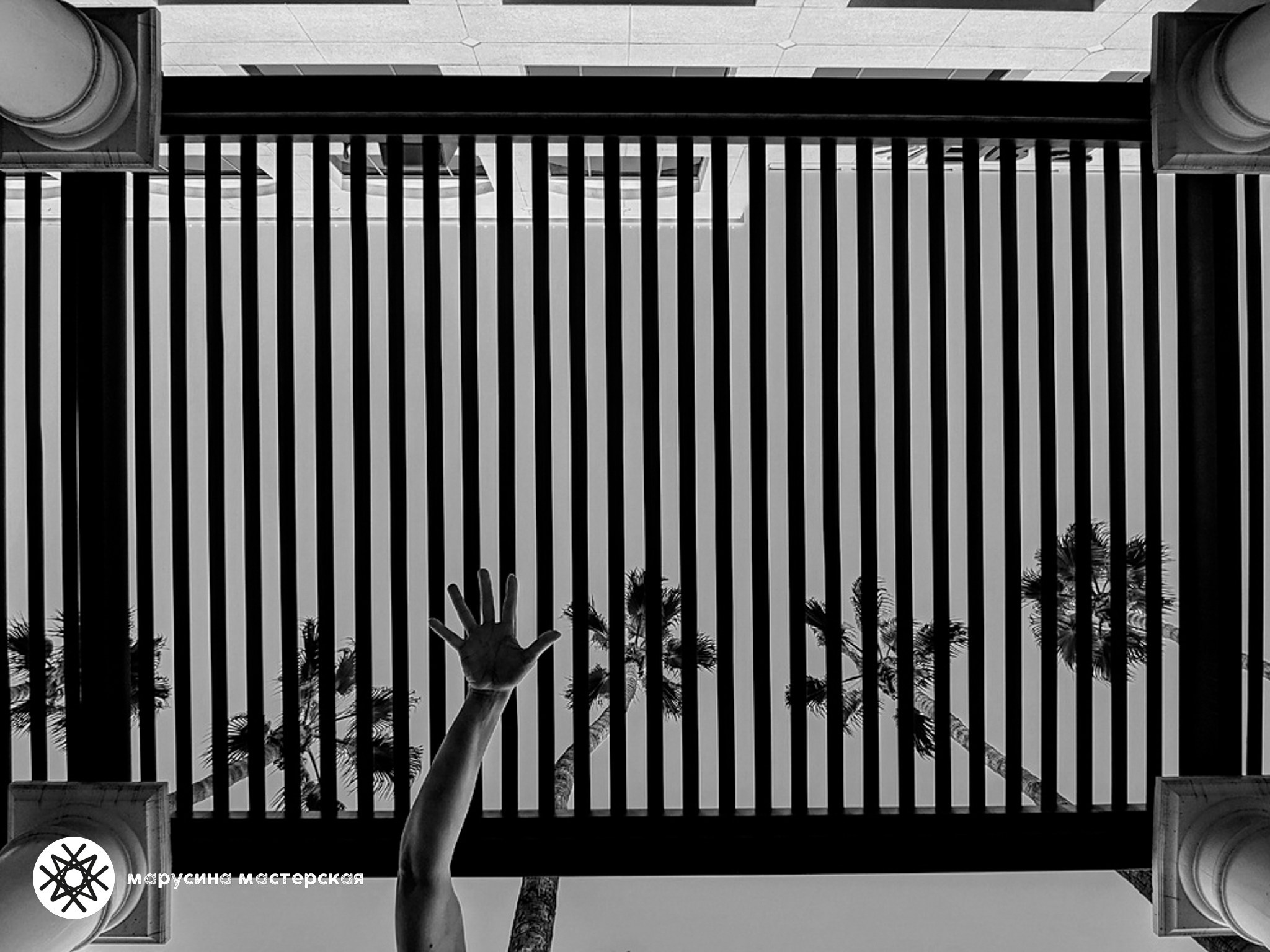 Арина Яковенко