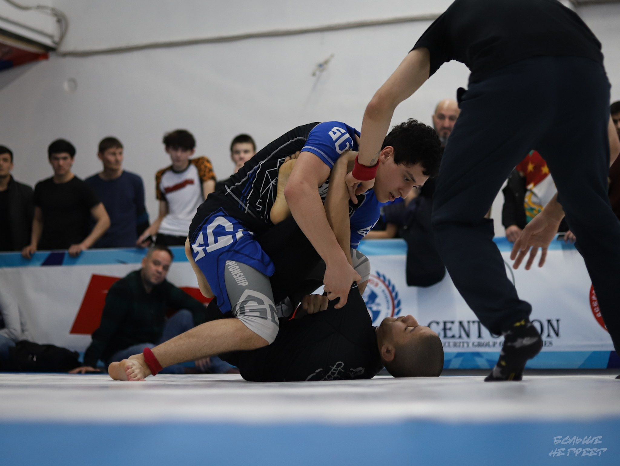 GORILLA PRIDE CUP. Больше не греет