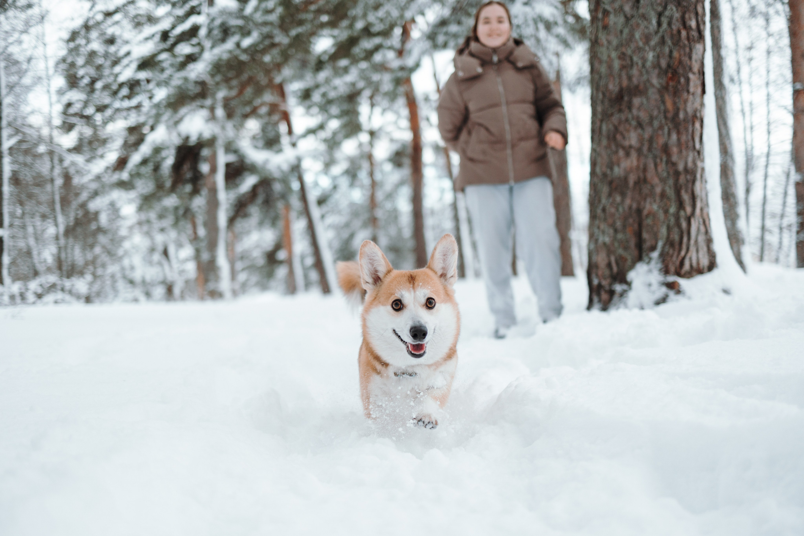 Оливка и ее семья. Фотограф — Анималист | Санкт-Петербург