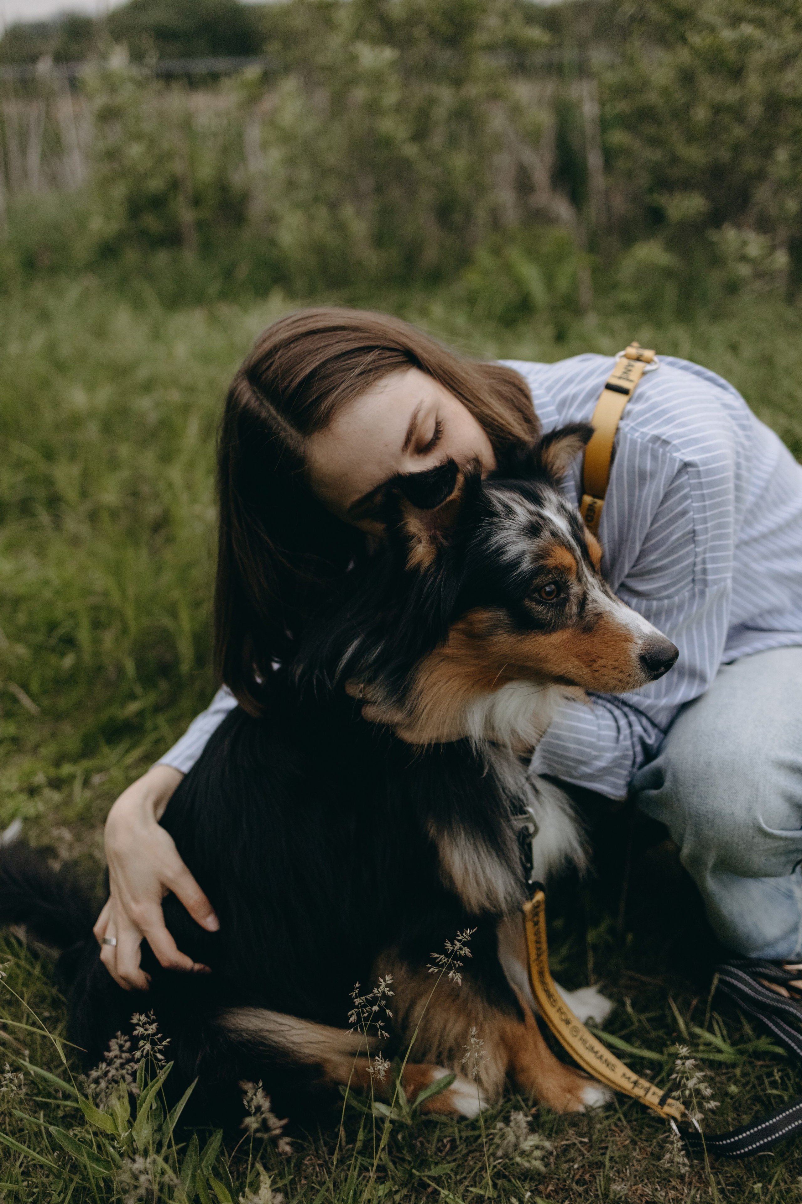 Настя, Никита и их Гром и Мяу. Фотограф — Анималист | Санкт-Петербург