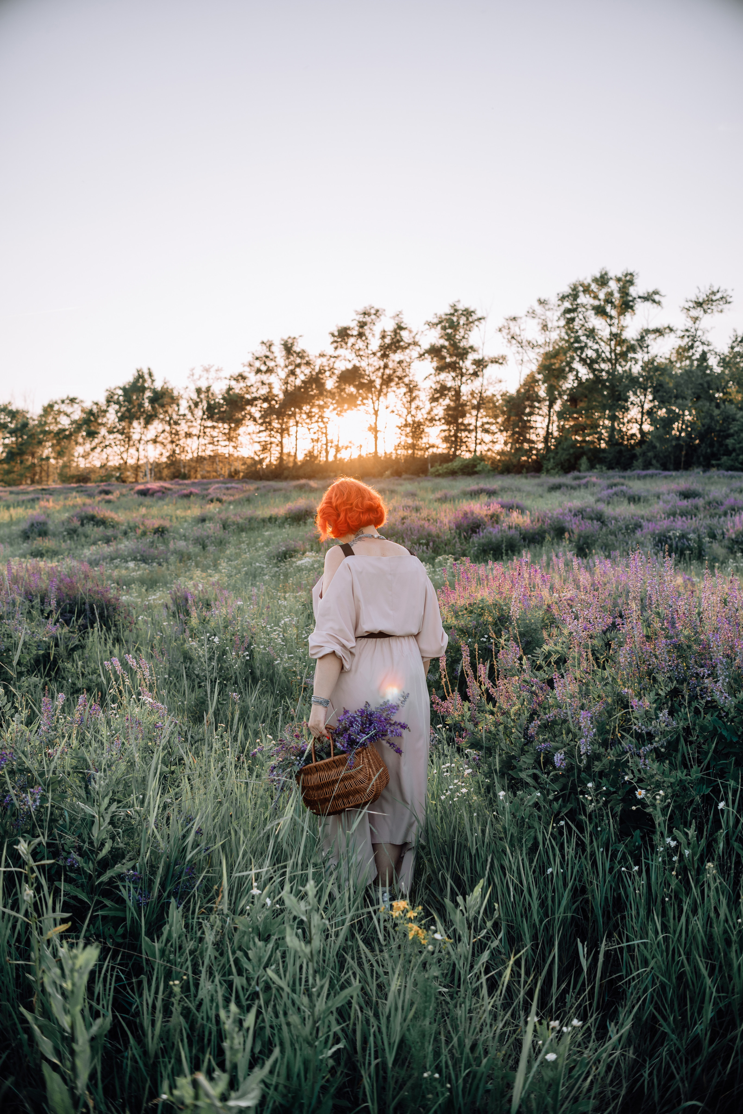 Елена. «Лавандовое поле» Владимирская область. Детский и семейный фотограф Катерина Мишина