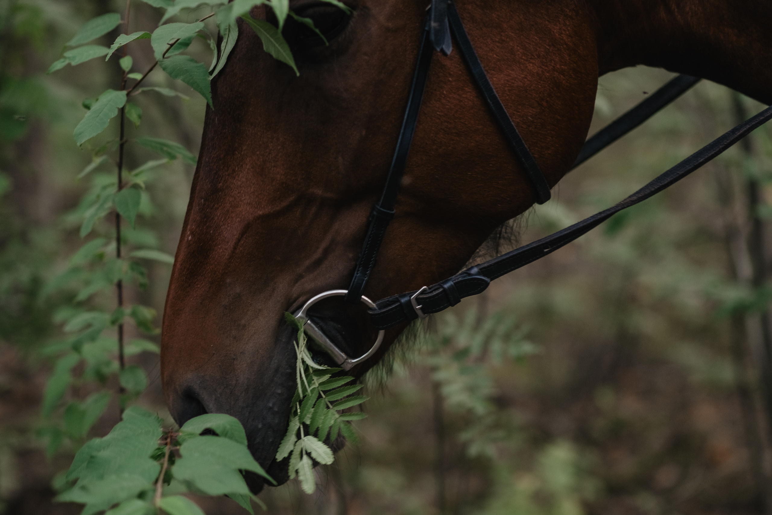 Юльчик с Кешей. Часть 1. Детский и семейный фотограф Катерина Мишина