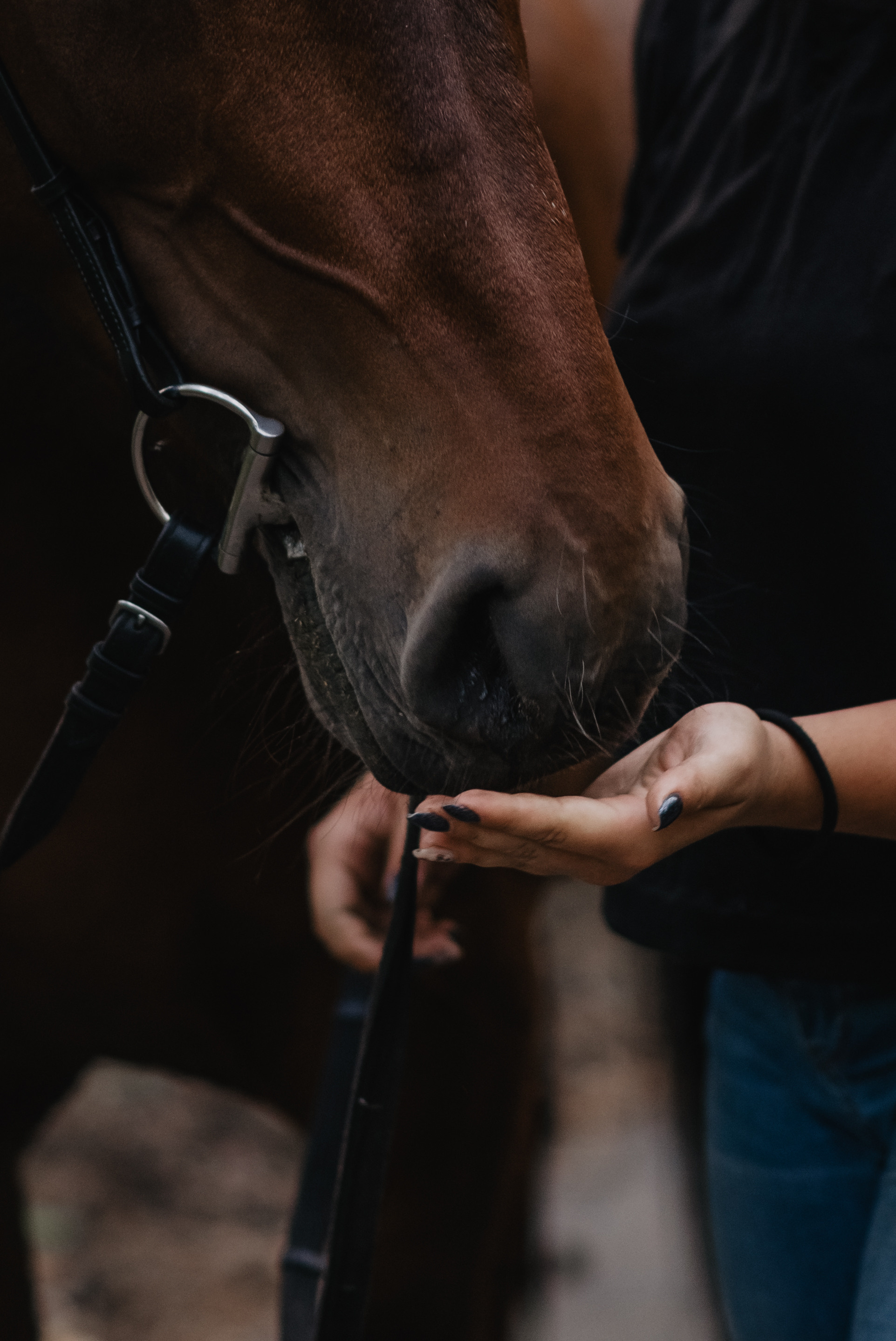 Юльчик с Кешей. Часть 1. Детский и семейный фотограф Катерина Мишина