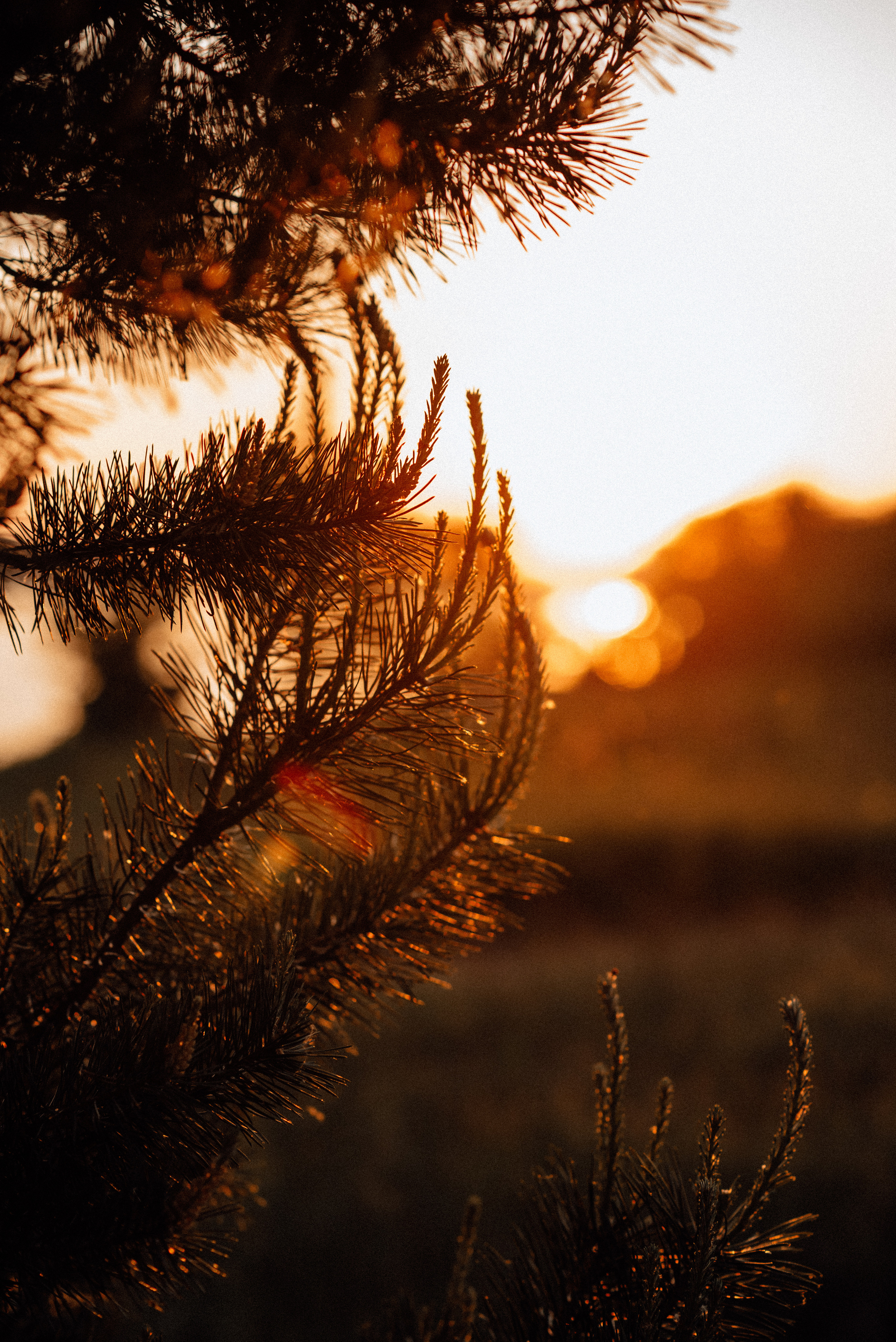 Татьяна + Владимир = Фёдор. г. Бор. Детский и семейный фотограф Катерина Мишина
