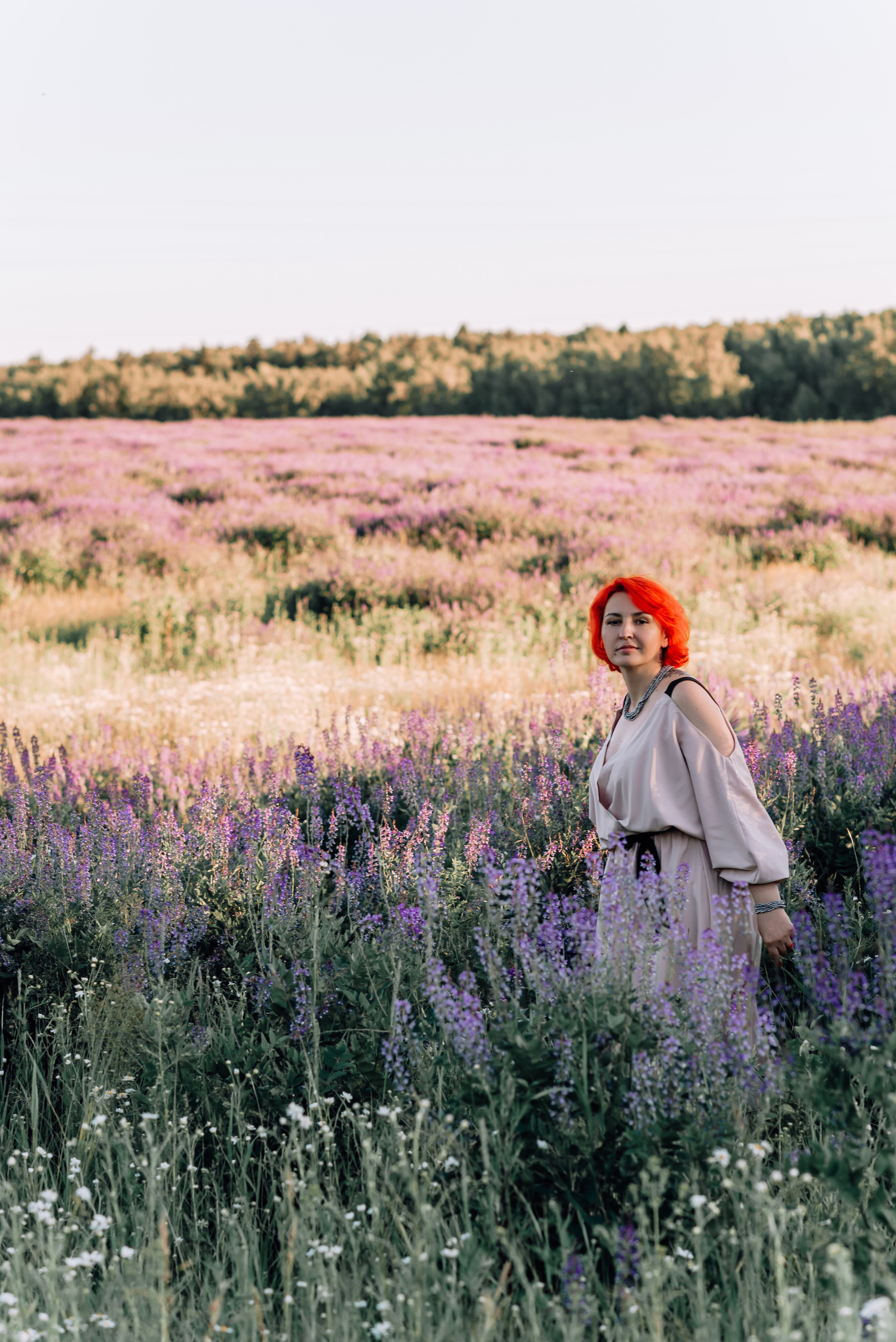 Елена. «Лавандовое поле» Владимирская область. Детский и семейный фотограф Катерина Мишина