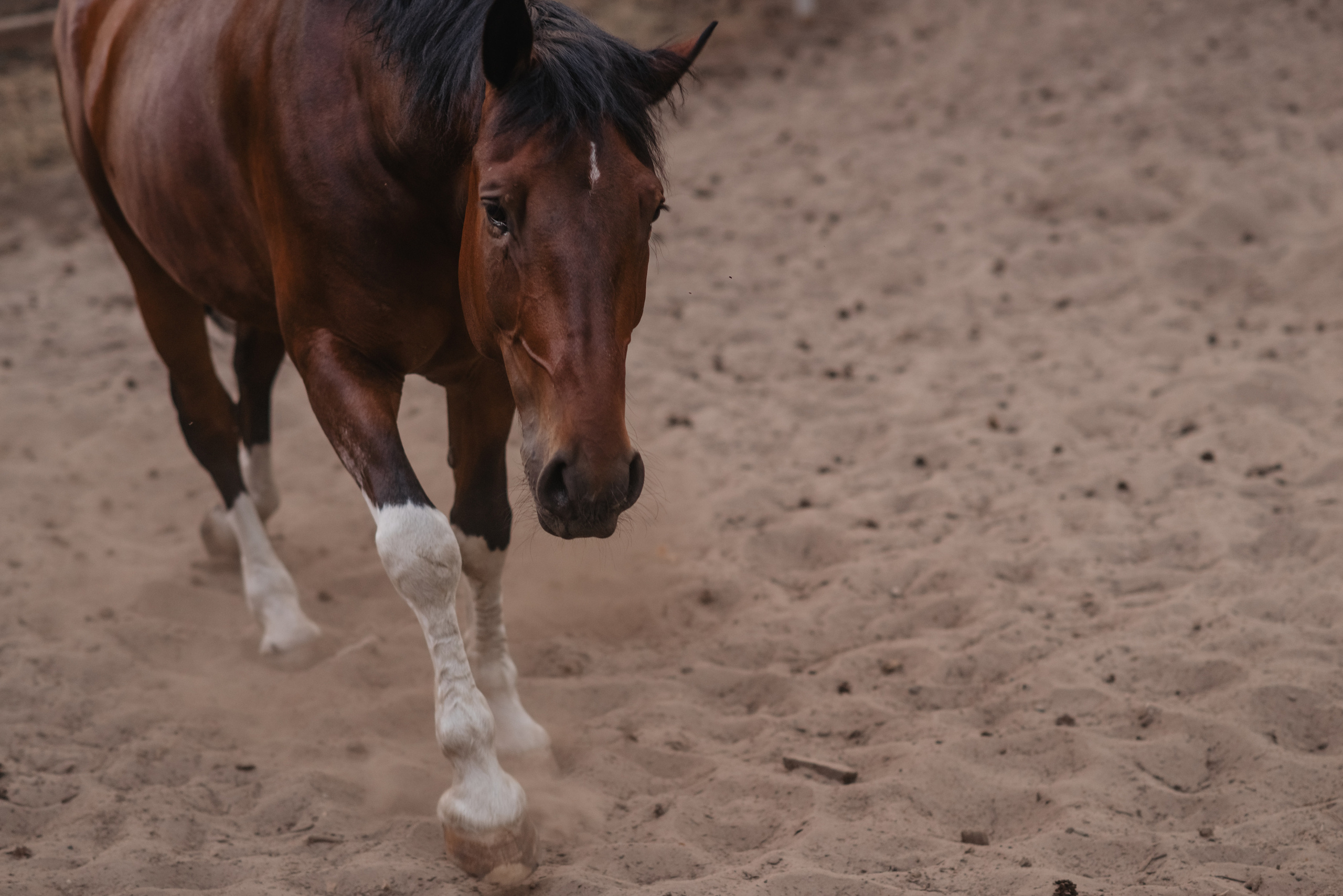 Юльчик с Кешей. Часть 1. Детский и семейный фотограф Катерина Мишина
