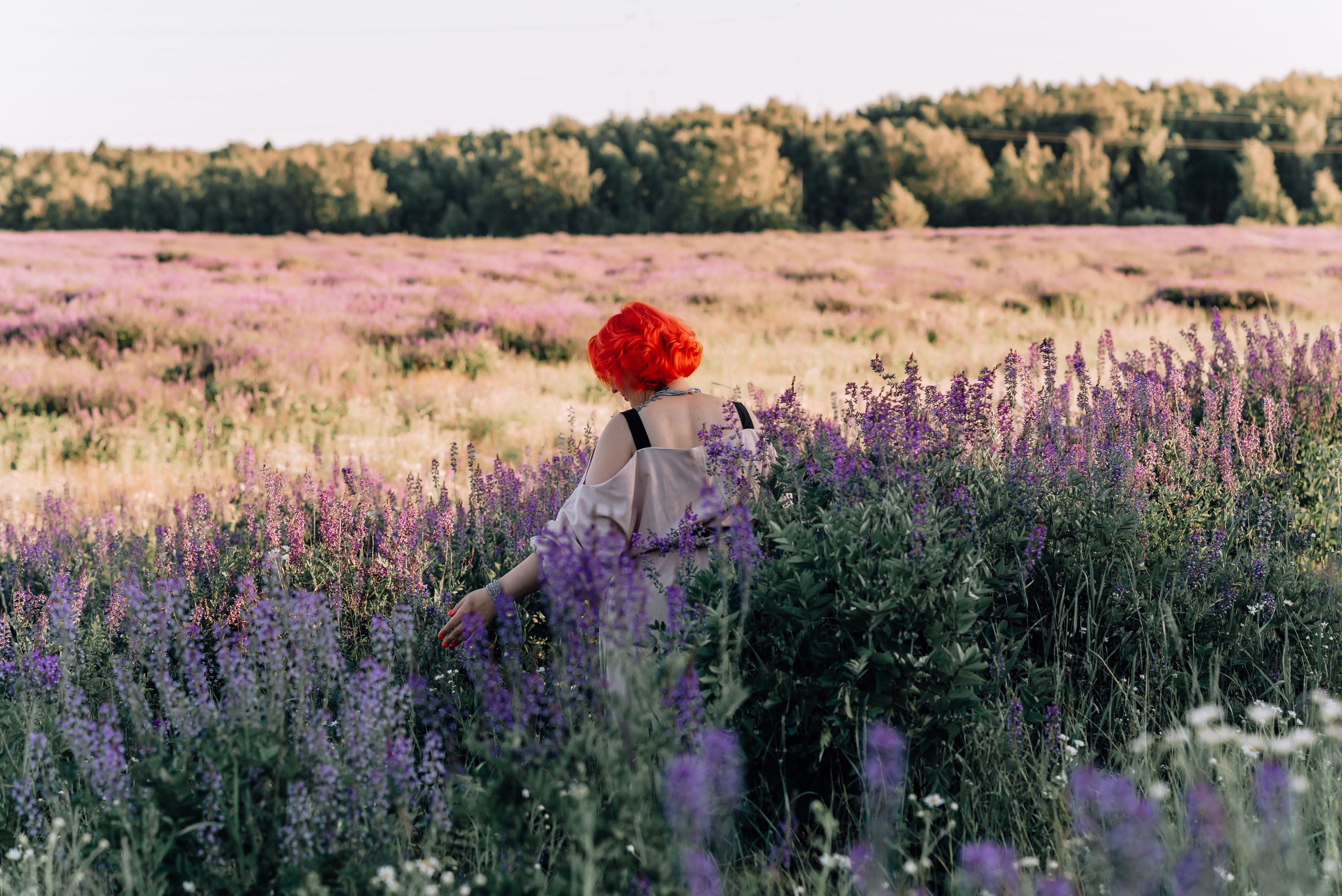 Елена. «Лавандовое поле» Владимирская область. Детский и семейный фотограф Катерина Мишина