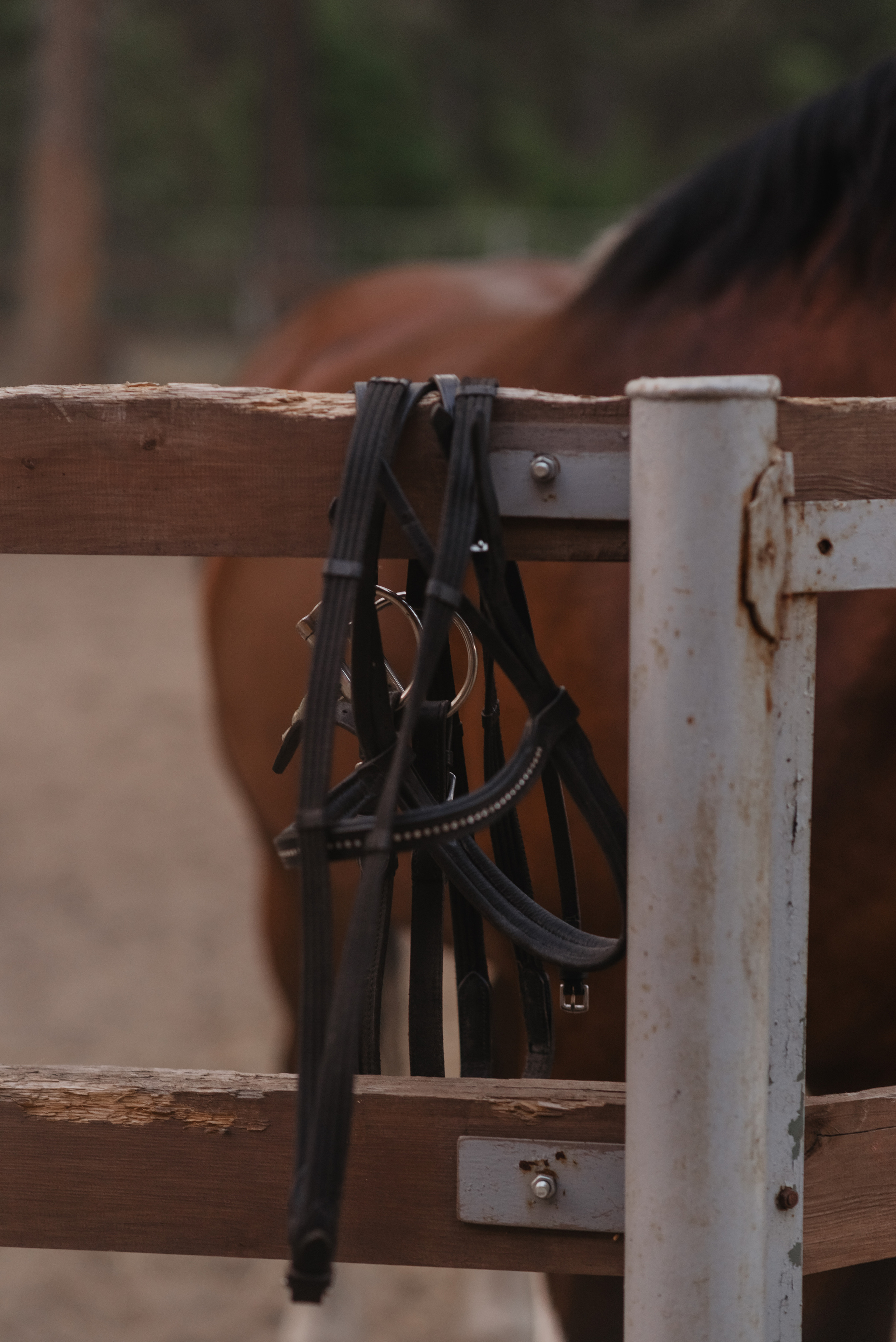 Юльчик с Кешей. Часть 1. Детский и семейный фотограф Катерина Мишина