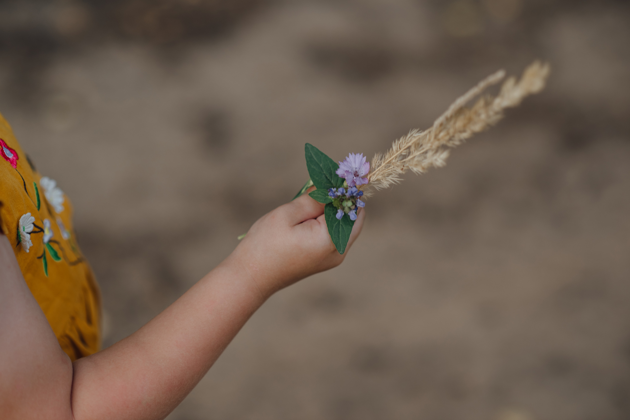 Семейная. Дзержинский дендрарий. Кристина. Детский и семейный фотограф Катерина Мишина