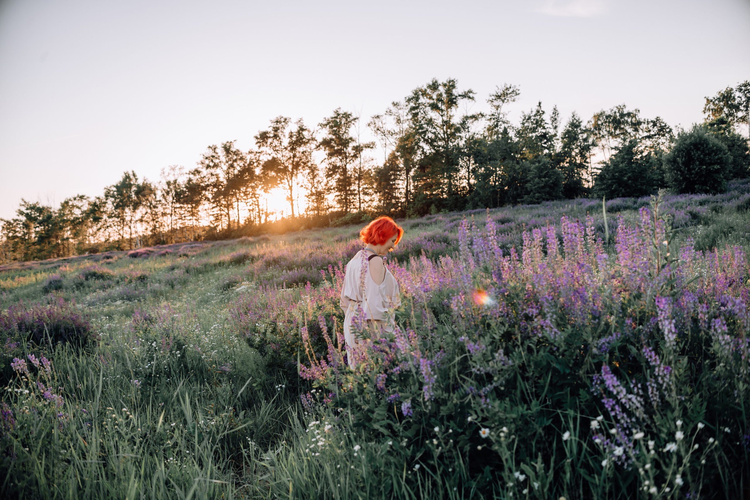 Елена. «Лавандовое поле» Владимирская область. Детский и семейный фотограф Катерина Мишина