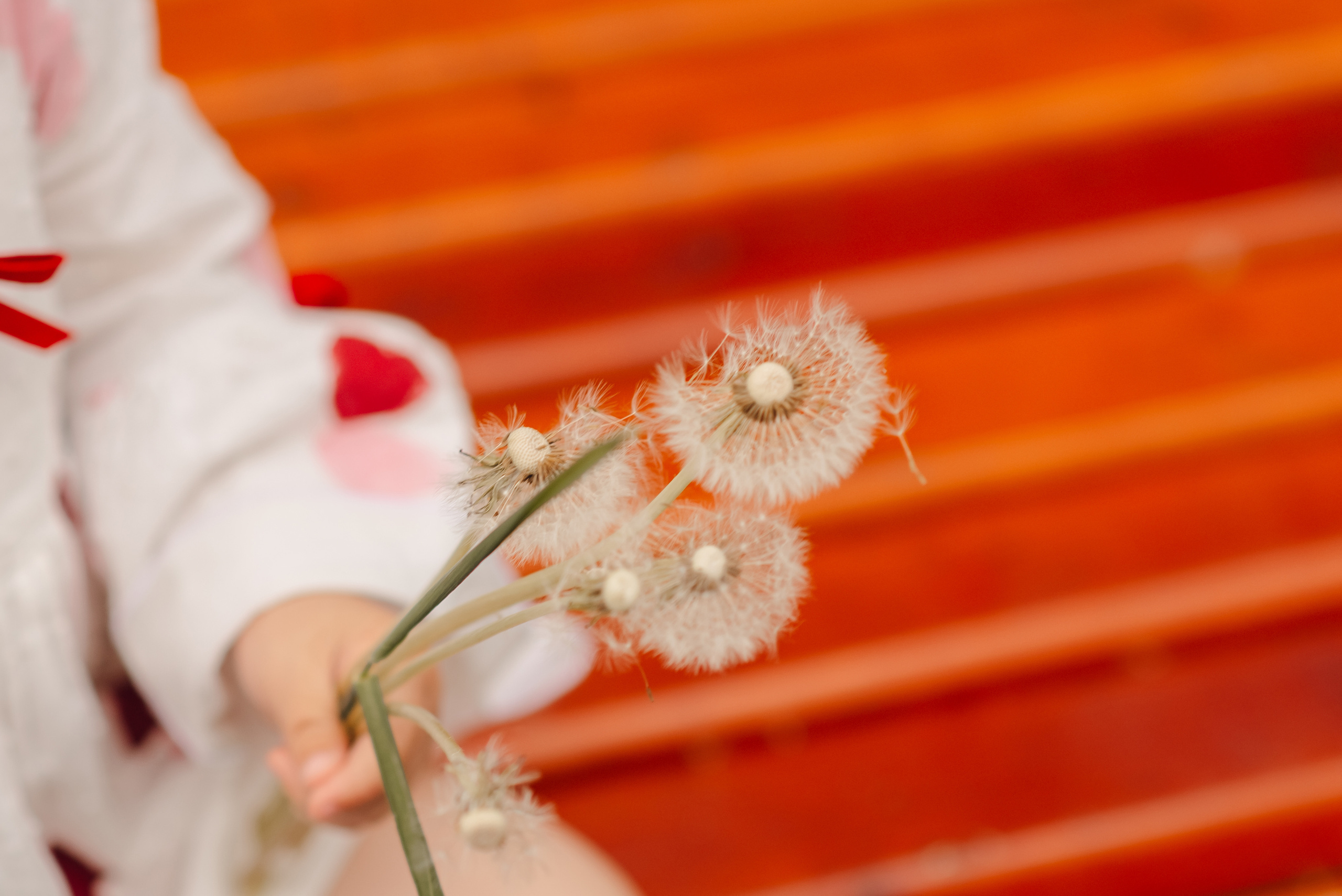 МАЛЫШИ. Детский и семейный фотограф Катерина Мишина