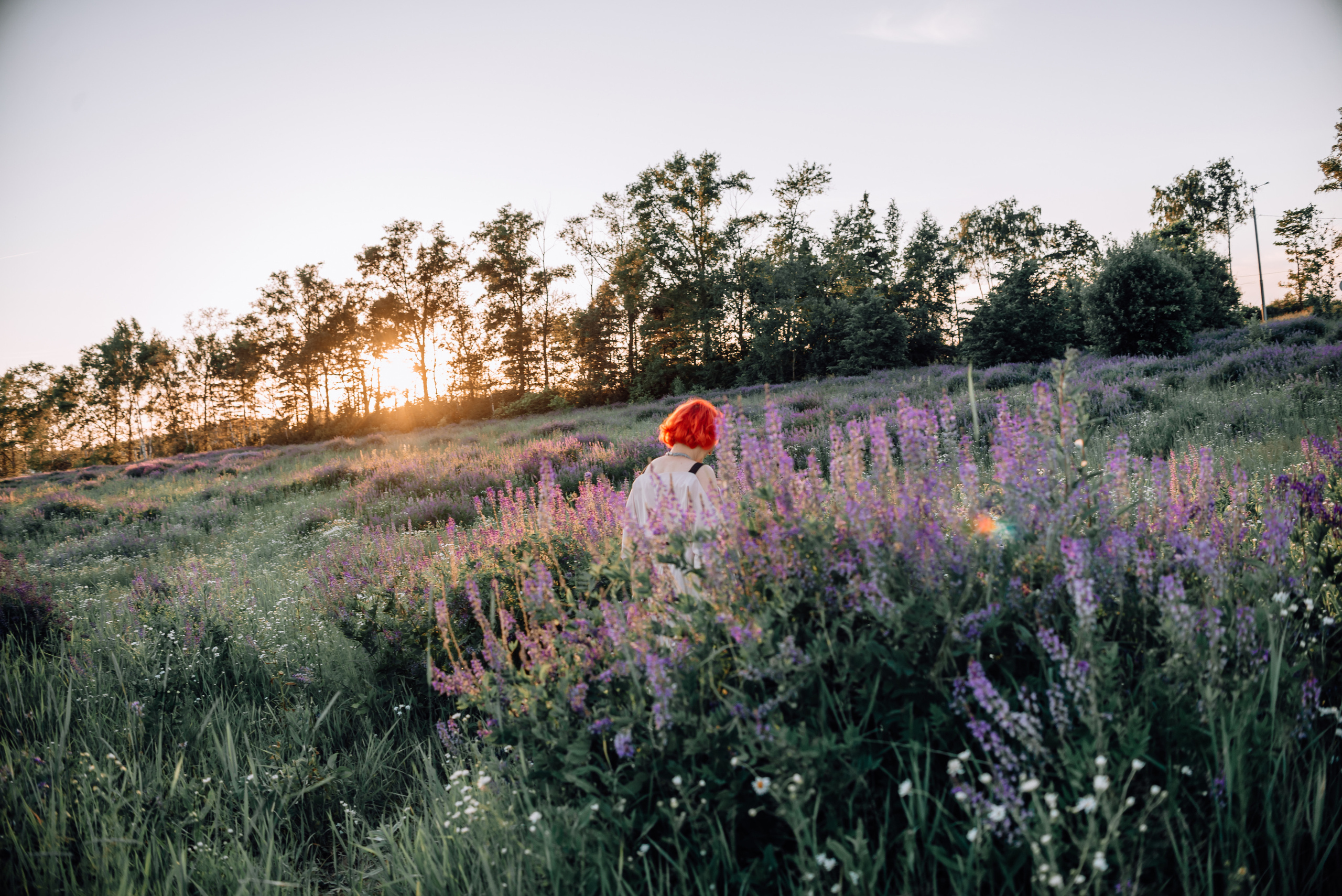 Елена. «Лавандовое поле» Владимирская область. Детский и семейный фотограф Катерина Мишина