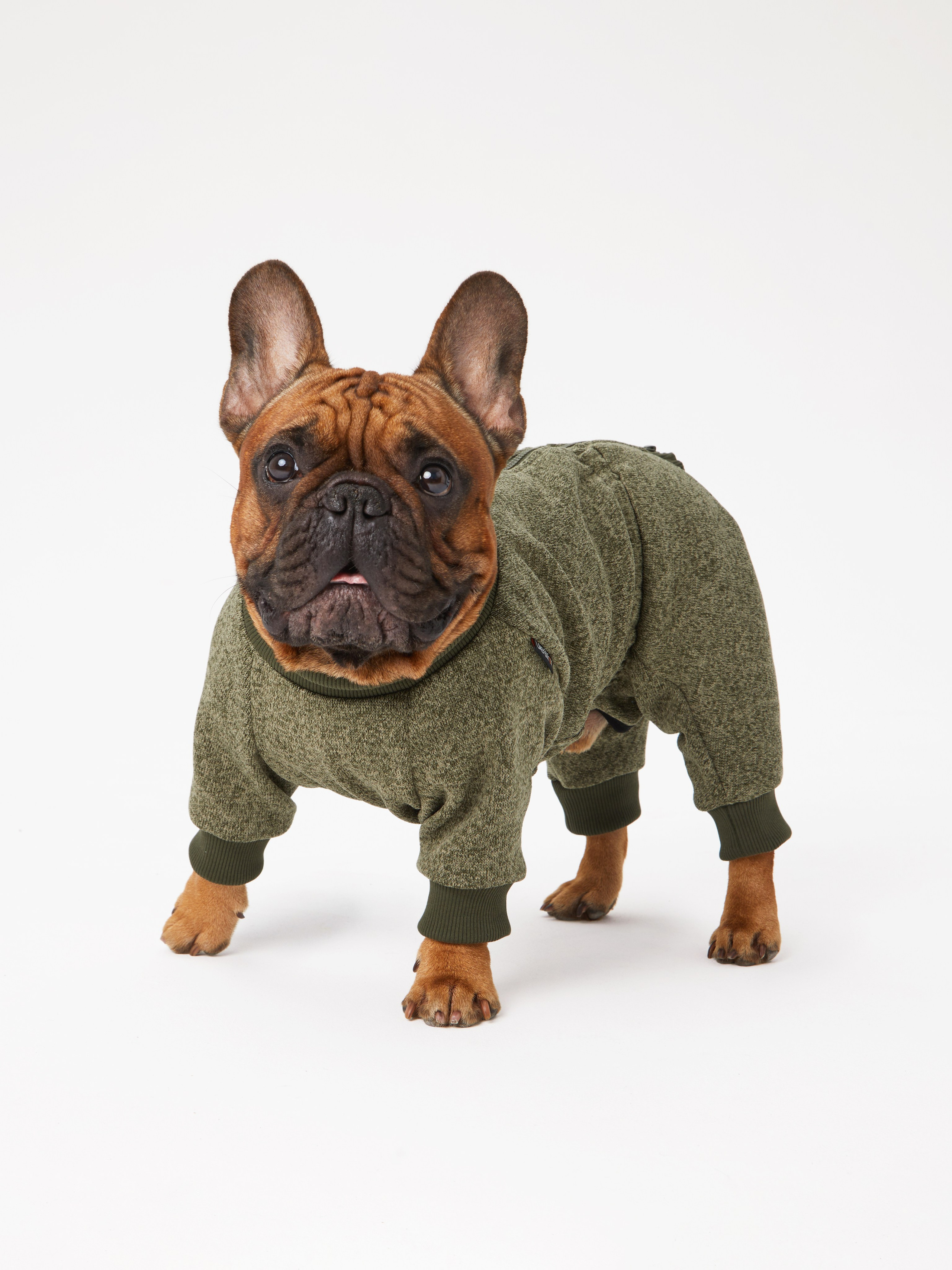 Каталоги. Pets Photography / Фотограф Собак