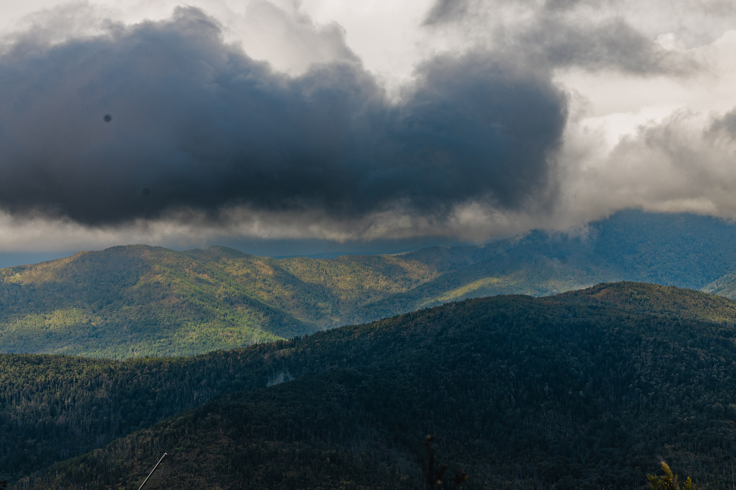 Фотографии фестиваля «Стройгерой 2025» Газстройпром — Сахалин